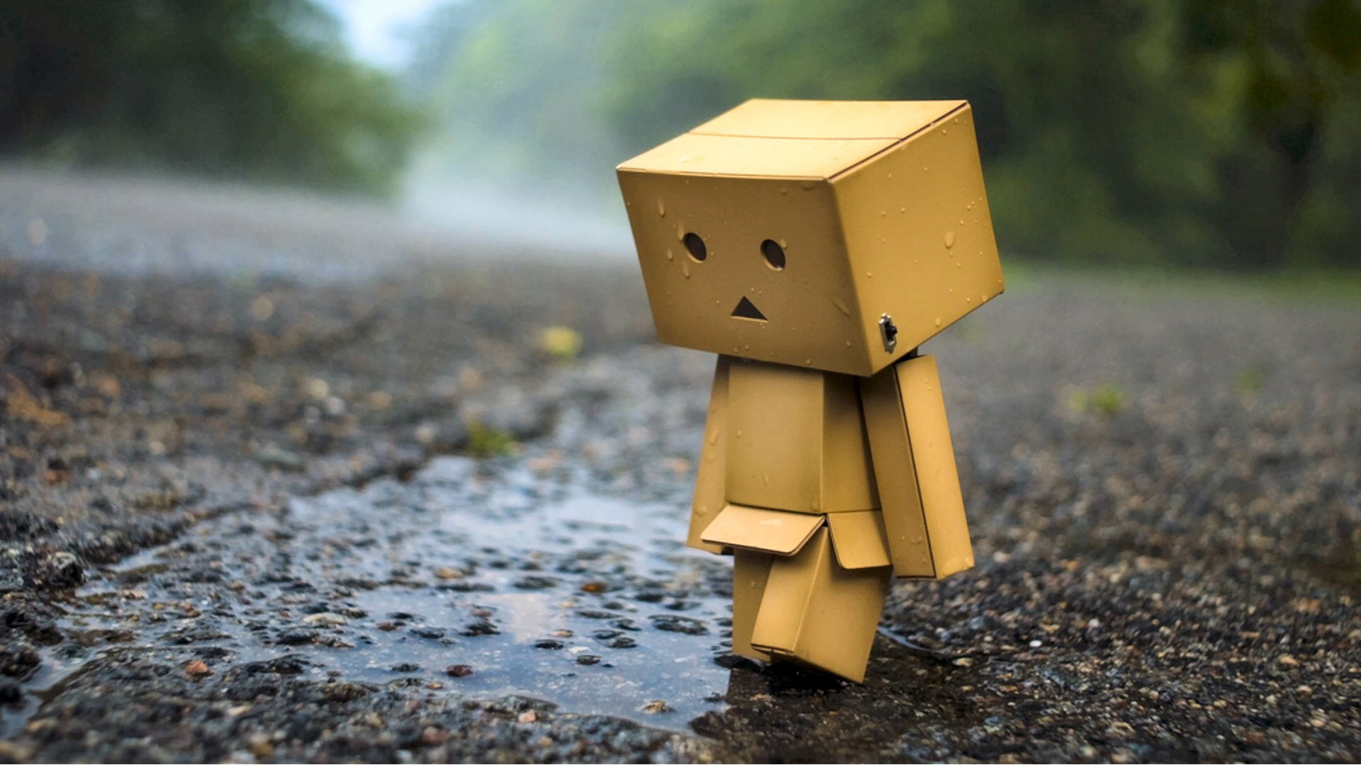 1080P, single object, day, no people, focus on foreground, cardboard, creativity, sign, craft, box, road, human representation, outdoors, Danbo, robot, HD Wallpaper