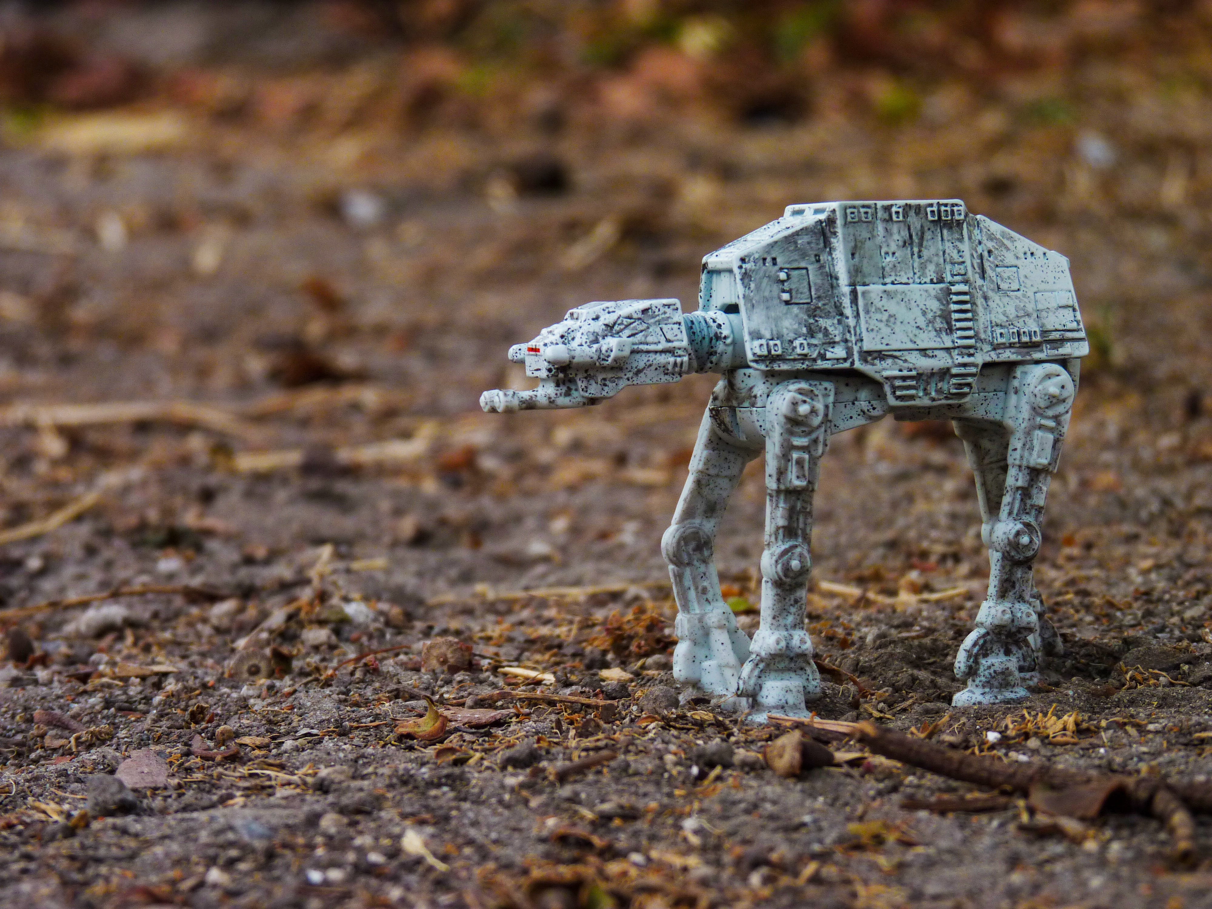 no people, nature, representation, close-up, selective focus, day, art and craft, geek, outdoors, mammal, winter, land, imperial, figure, miniature, focus on foreground, HD Wallpaper