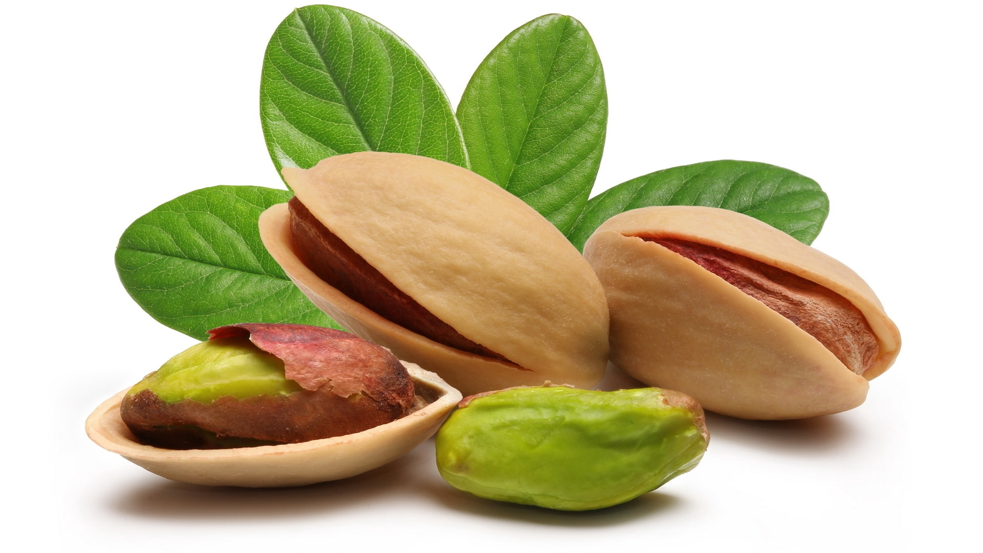 leaves, shell, 1080P, nuts, pistachios, HD Wallpaper