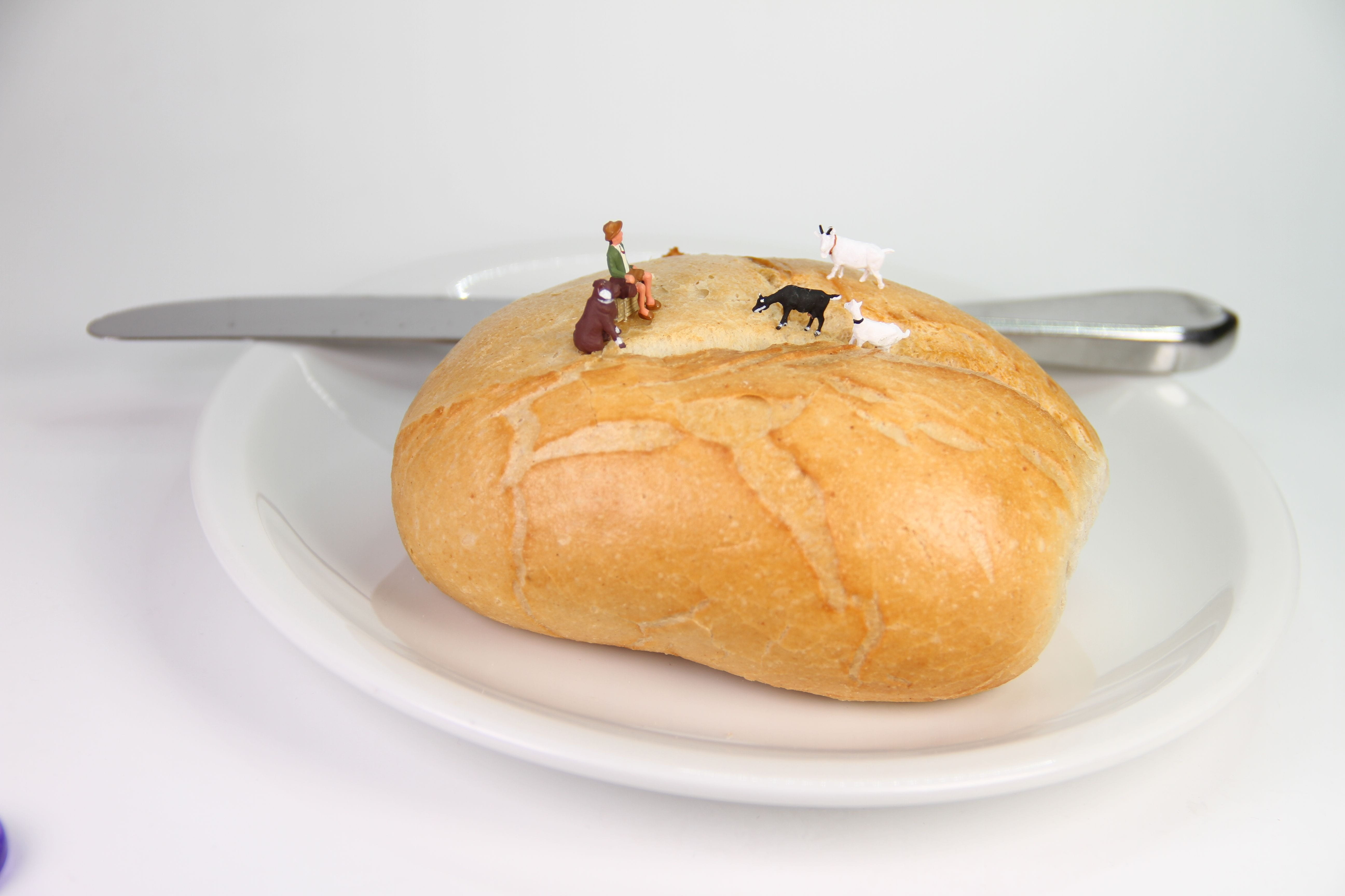 refreshment, mite, escape, crockery, no people, 5K, benefit from, humorous, close, french food, model construction figure, funny, ready-to-eat, miniature figures, HD Wallpaper