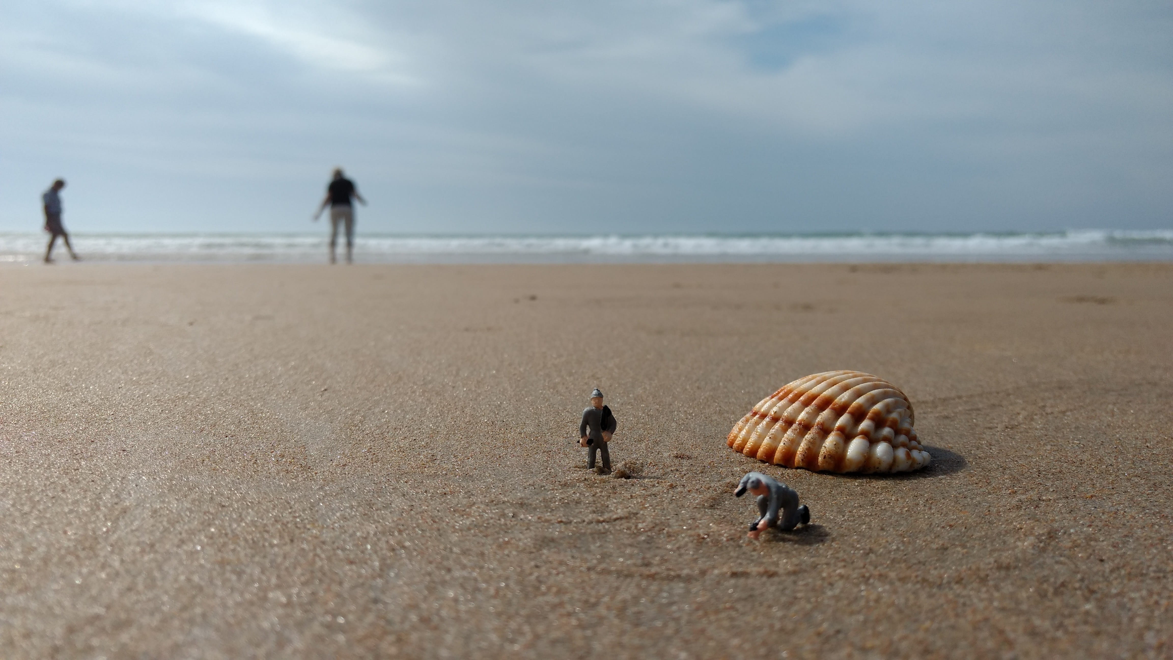 h0, craftsmen, people, beauty in nature, holiday, beach, horizon, day, sand, 4K, animal wildlife, sea, cloud - sky, water, nature, outdoors, shell, travel destinations, HD Wallpaper