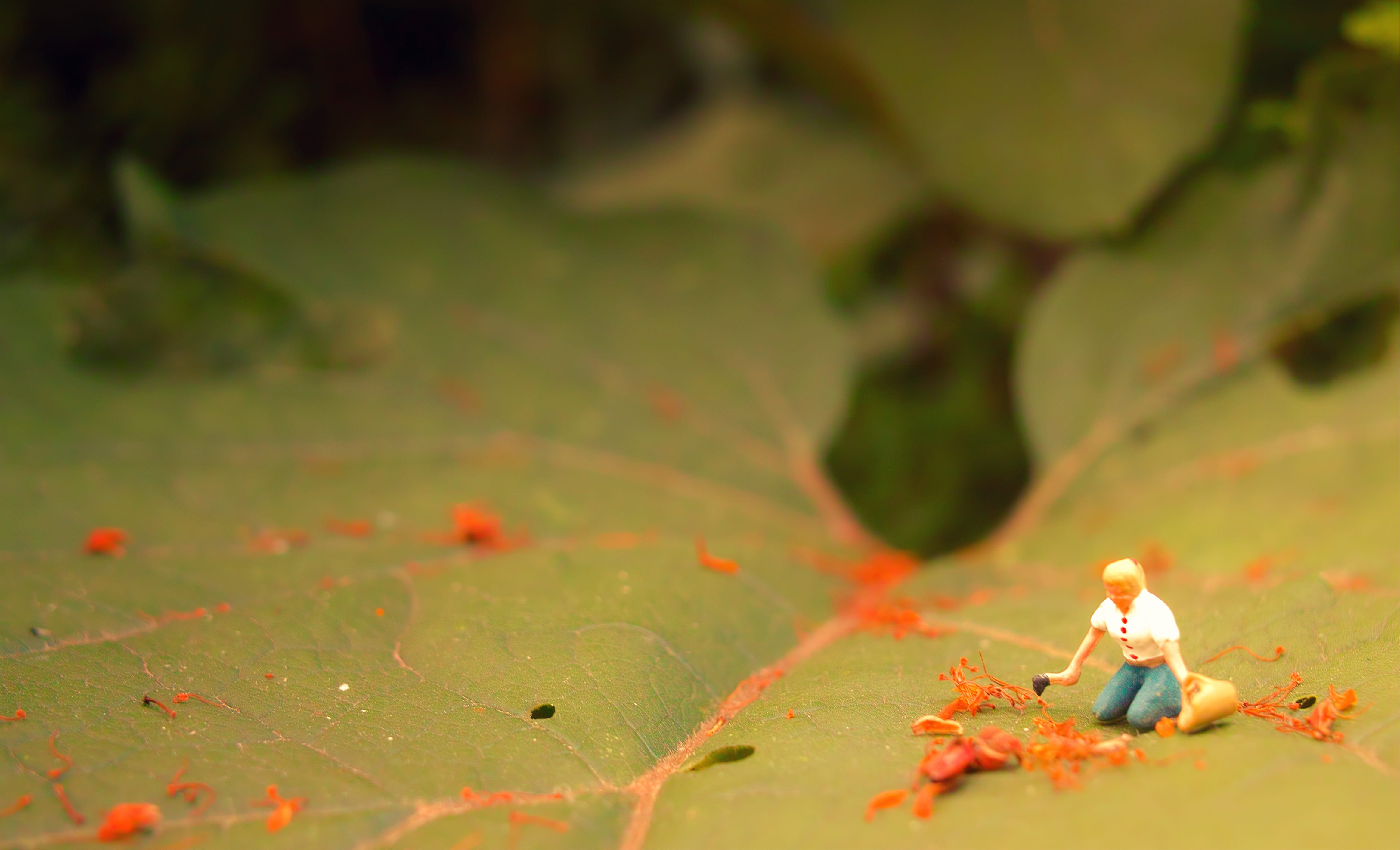 land, one person, figurine, plastic figure, innocence, toy figure, child, model train, leisure activity, h0, selective focus, toys, plant, leaf, nature, HD Wallpaper