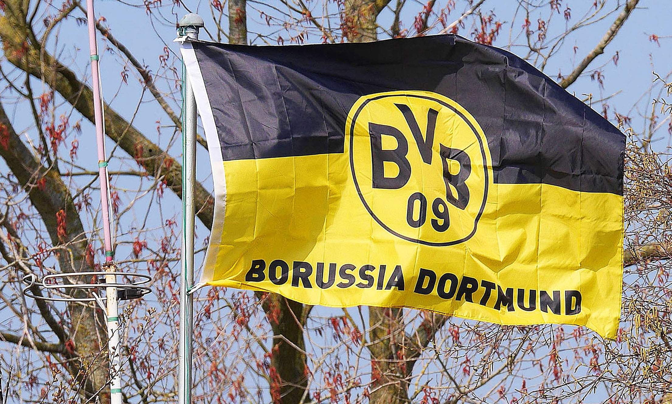 text, low angle view, yellow, fan, new, bvb, warning sign, westfalen, club flag, football fans, bare tree, 1080P, information sign, outdoors, communication, HD Wallpaper