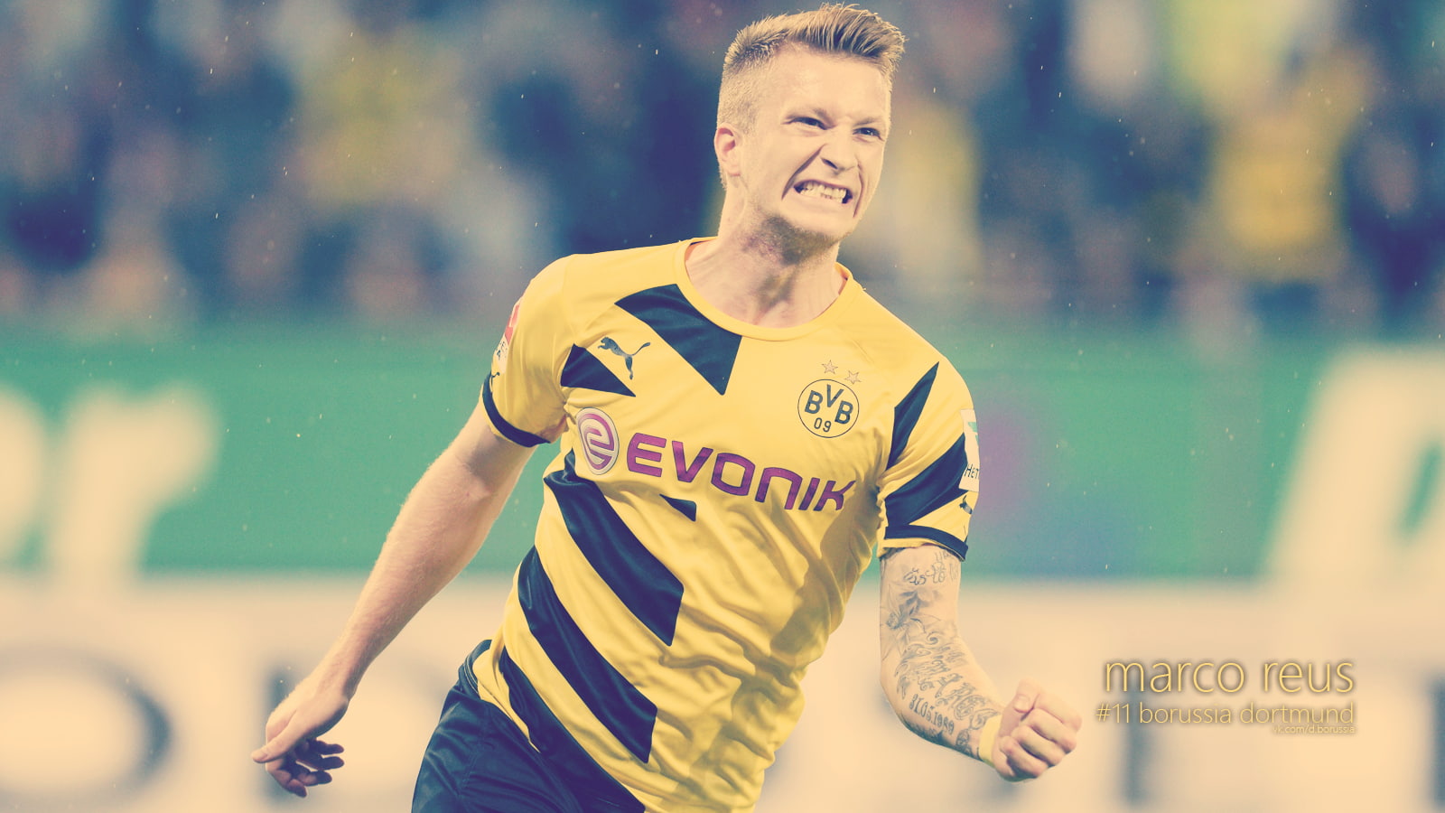 Borussia Dortmund, Marco Reus, 720P, BVB, HD Wallpaper