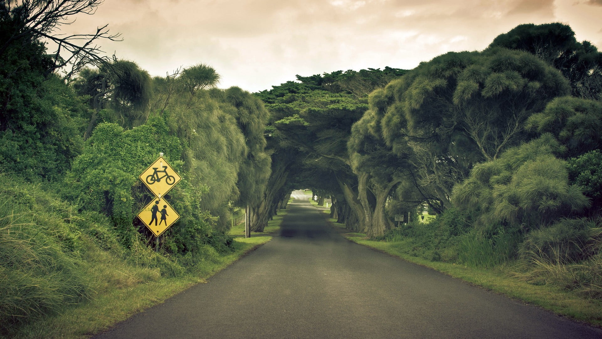 no people, transportation, signage, growth, black, signs, road, outdoors, beauty in nature, highway, the way forward, scenics - nature, tree, plant, sky, HD Wallpaper