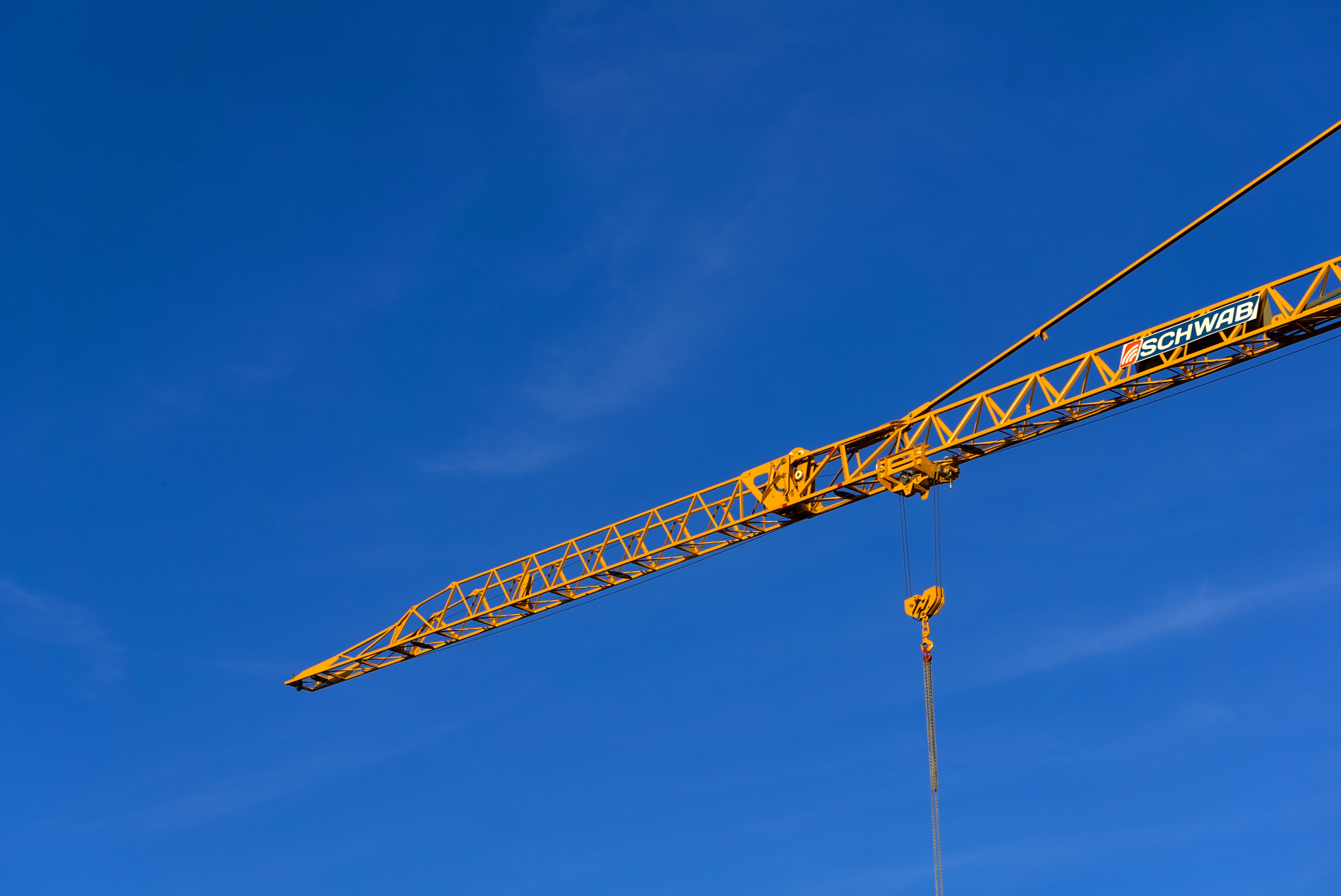 animal wildlife, copy space, tower Crane, blue, day, machinery, construction equipment, industry, load lifter, arts culture and entertainment, clear sky, HD Wallpaper
