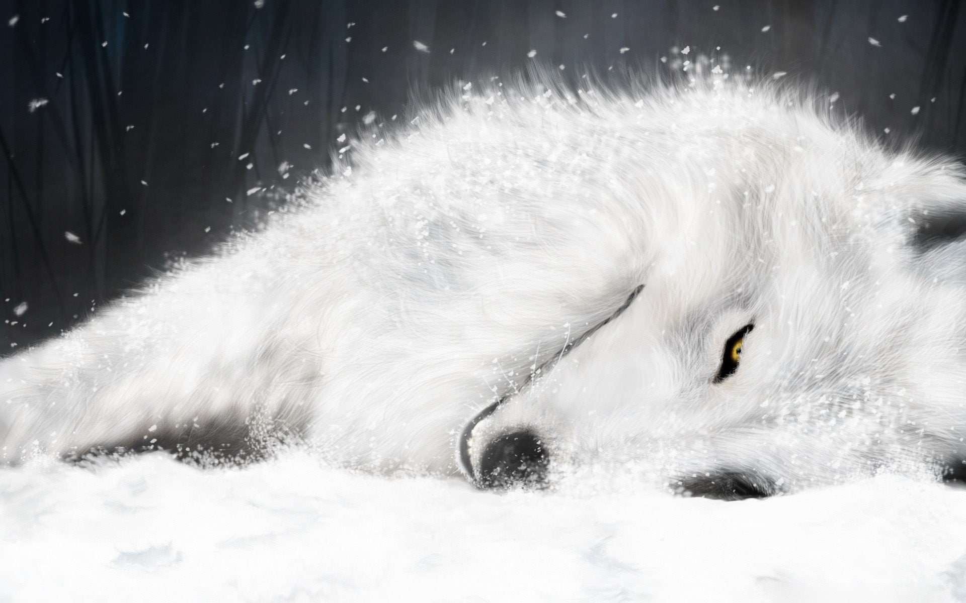 war, hd, video, 1920x1200 px, 1080P, wolf, games, art, gears, px, x, HD Wallpaper