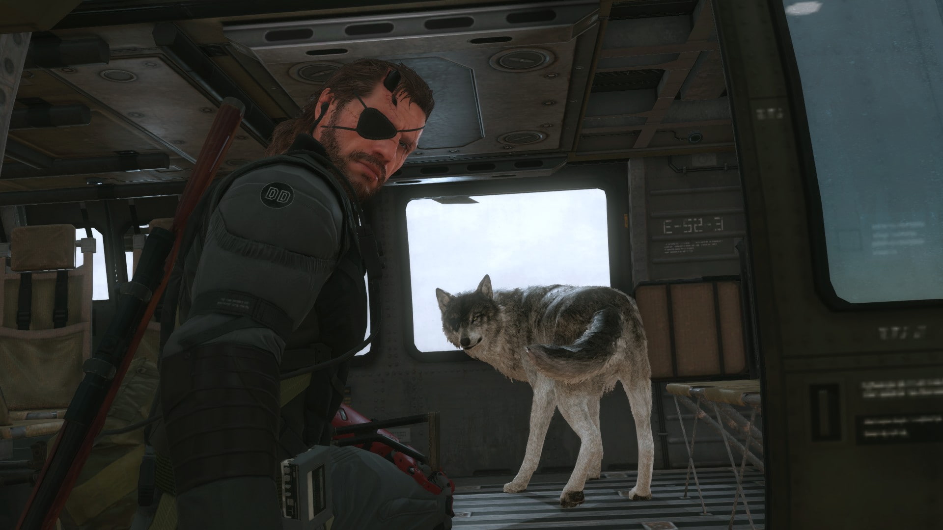 hd, one animal, gear, adult, standing, mammal, art, people, pink, pets, lifestyles, domestic animals, men, v, solid, video, indoors, 1920x1080 px, games, HD Wallpaper