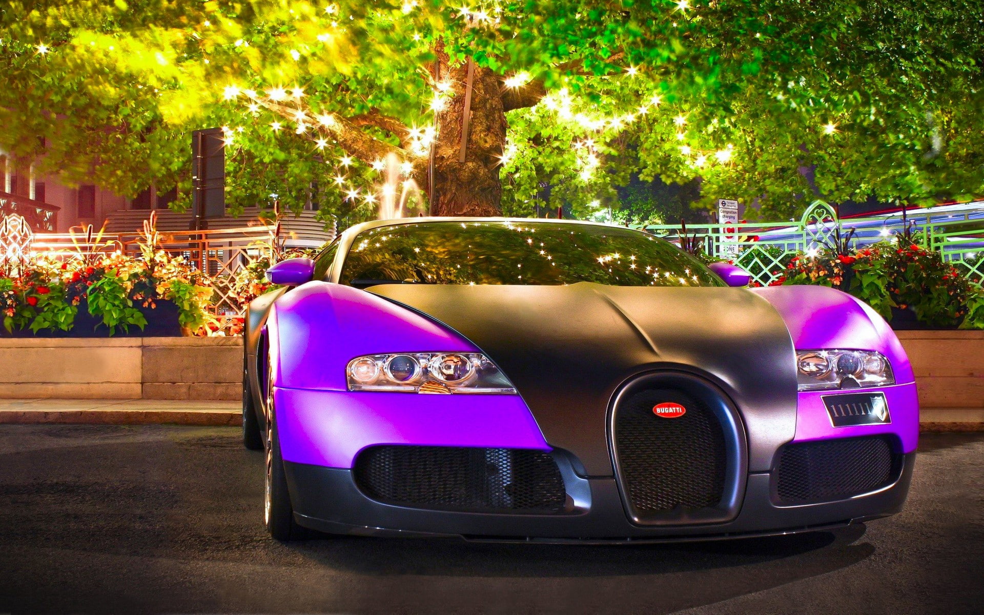 vehicle, purple, Super Car, trees, 1080P, Bugatti Veyron, car, HD Wallpaper