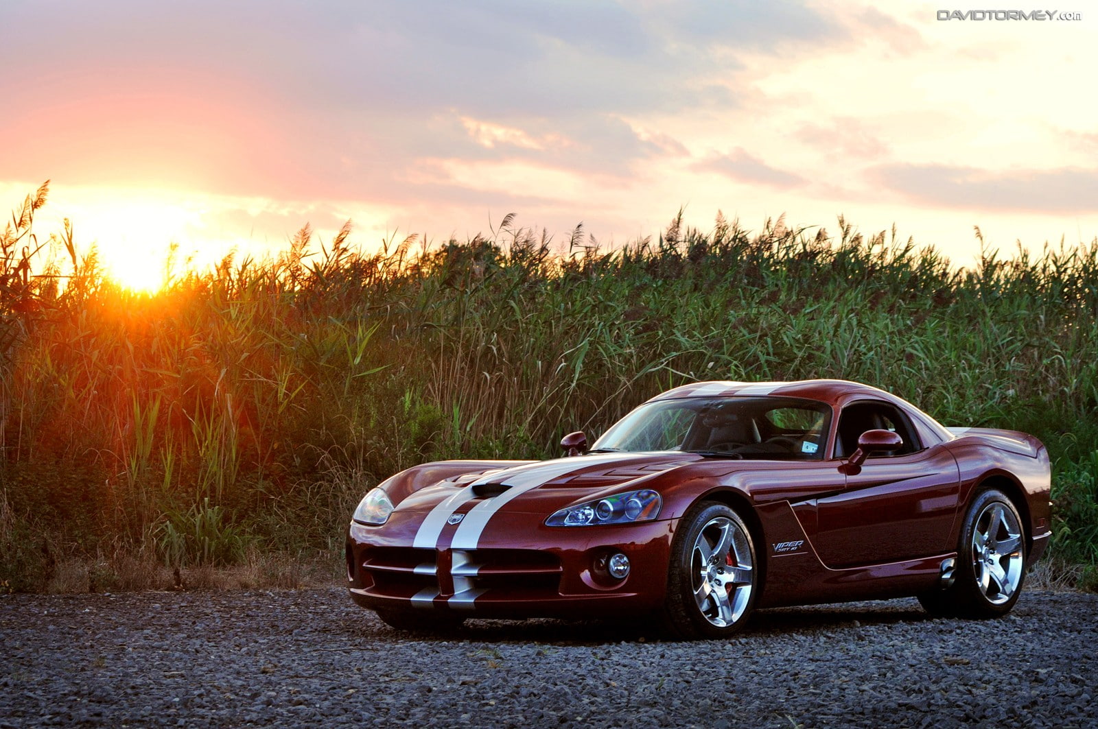 red cars, Dodge, environment, red, retro styled, plant, motor vehicle, landscape, sky, sunlight, field, cloud - sky, mode of transportation, land, no people, HD Wallpaper
