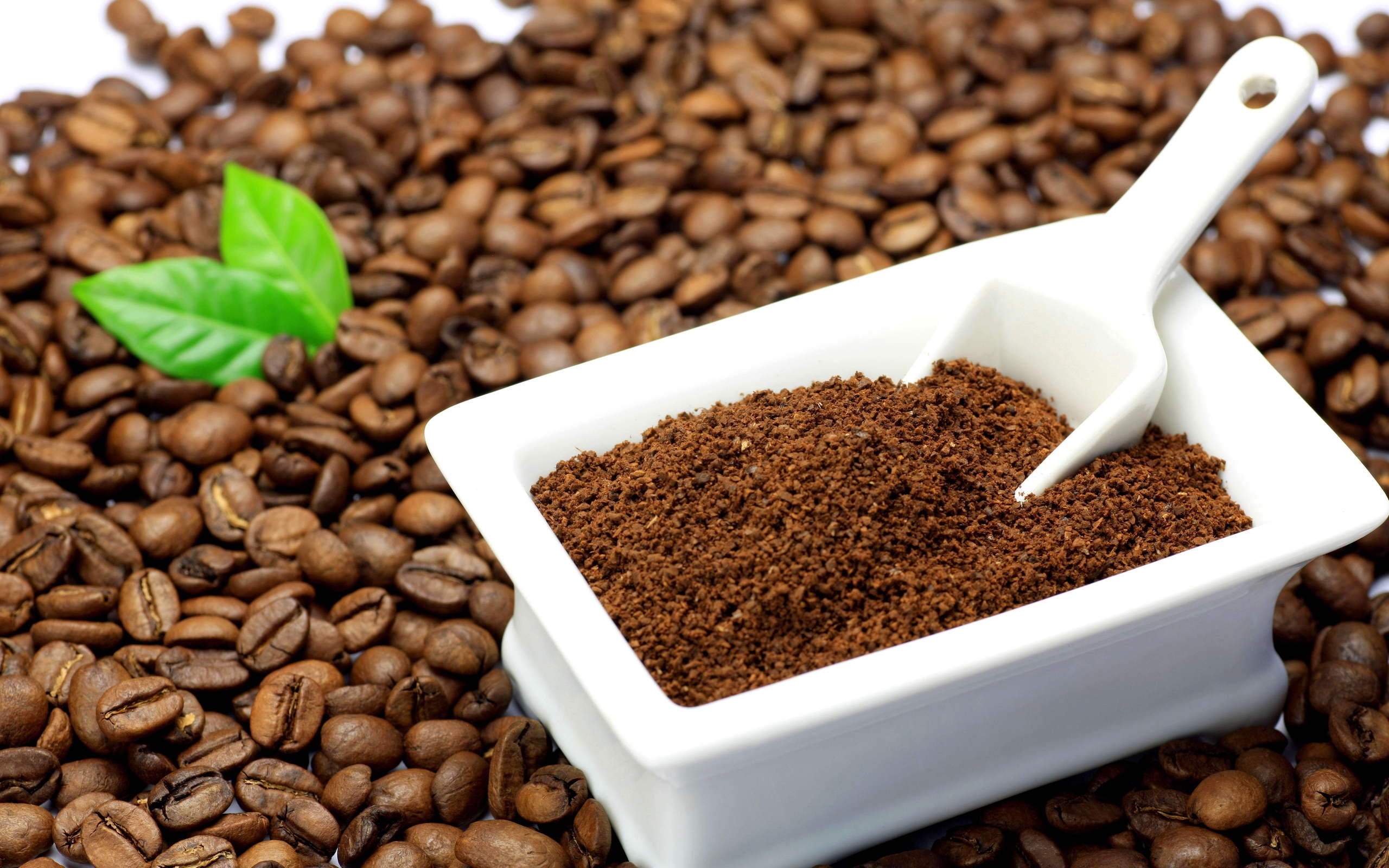 coffee Bean, beginnings, large group of objects, wood - Material, bean, still life, indoors, scented, food and drink, plant, food, gourmet, ingredient, HD Wallpaper