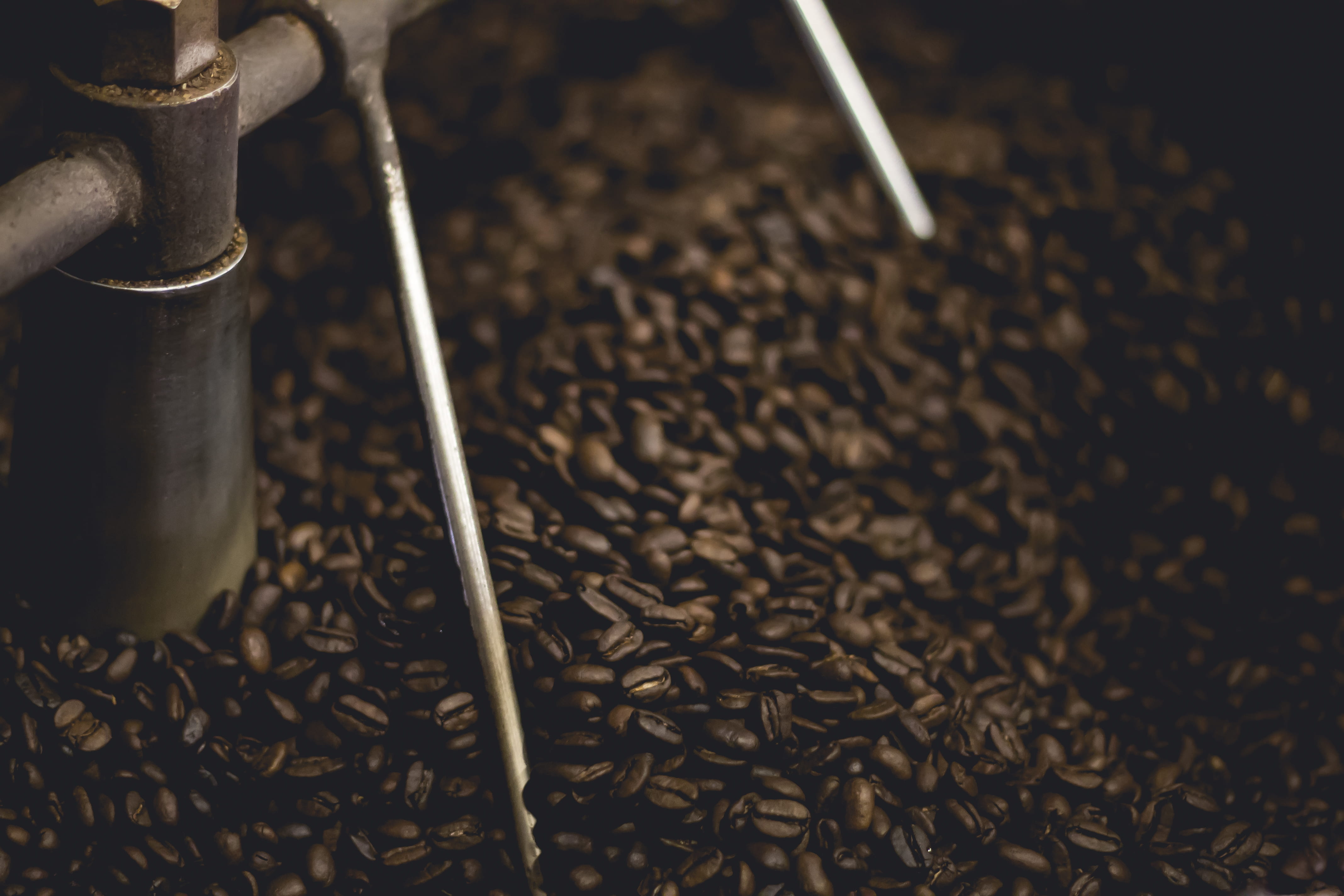 aroma, food, metal, equipment, grind, motion, coffee - drink, 4K, no people, close-up, focus on foreground, brown, roasted coffee bean, selective focus, HD Wallpaper
