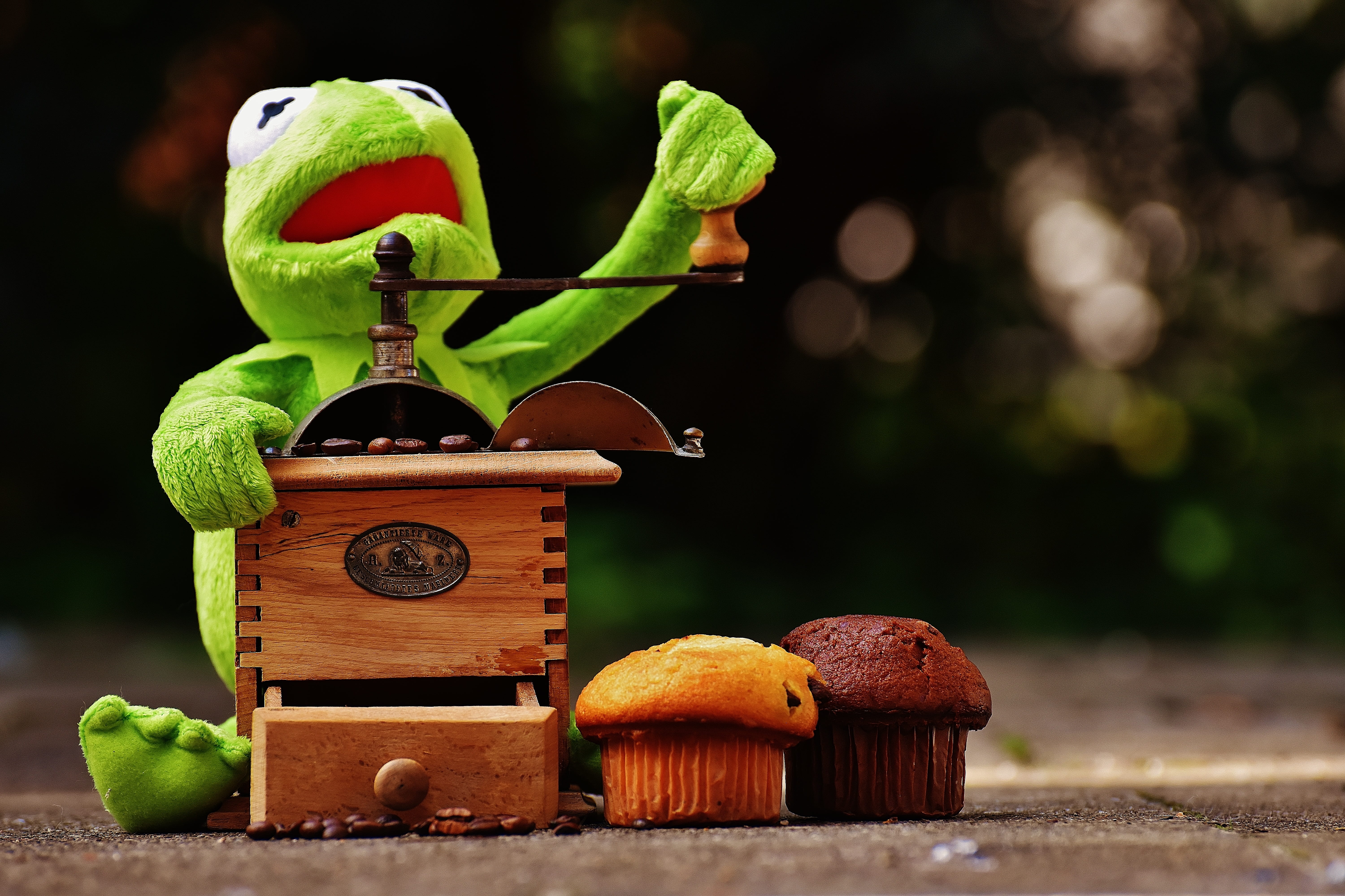 healthy eating, focus on foreground, freshness, grinder, figure, nature, cute, toy, green color, food, wellbeing, soft toy, no people, coffee beans, wood - material, HD Wallpaper