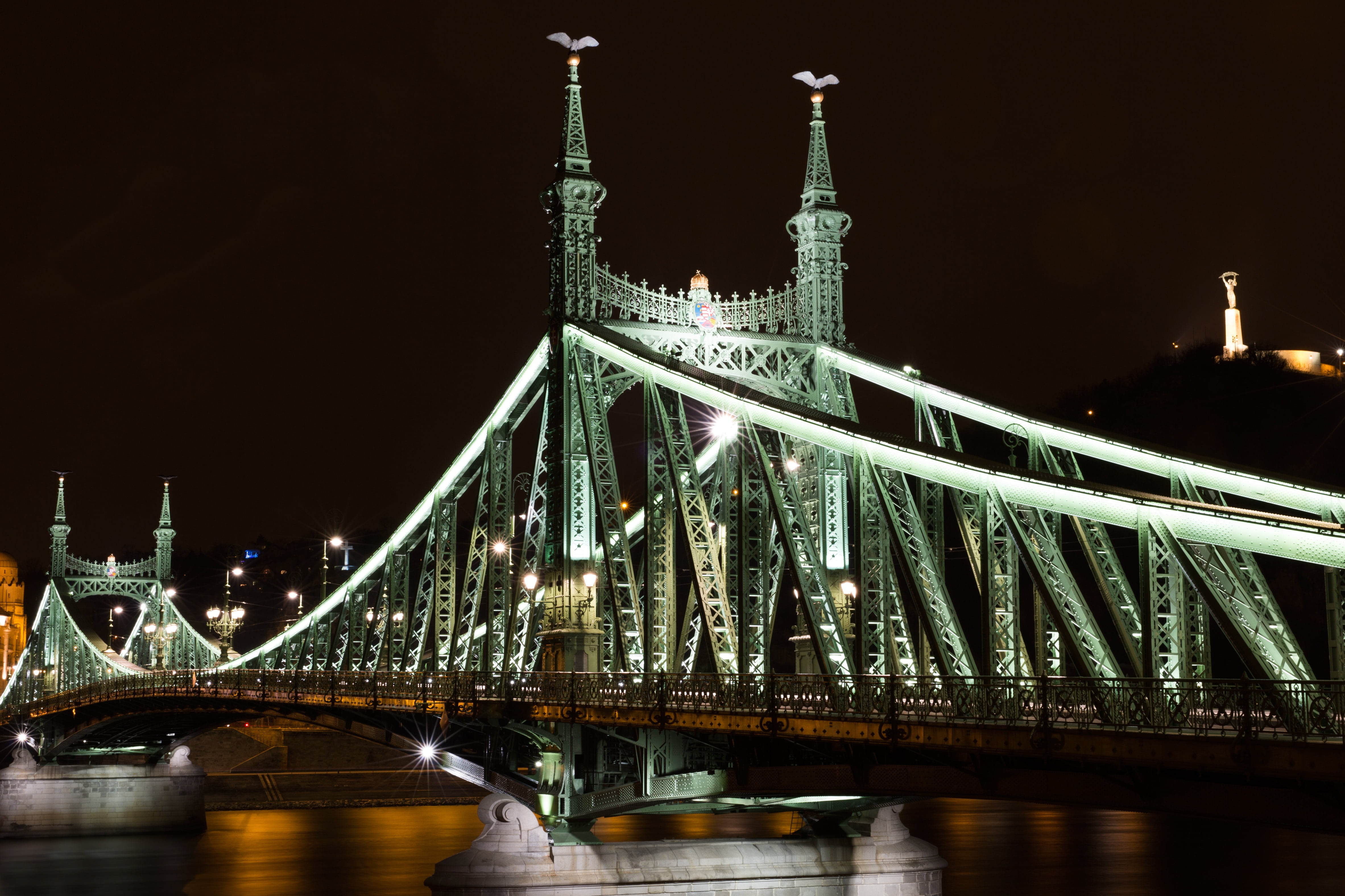 destination, city trip, transportation, water reflection, after recording, built structure, danube, popular, liberty bridge, city, river, water, night, HD Wallpaper