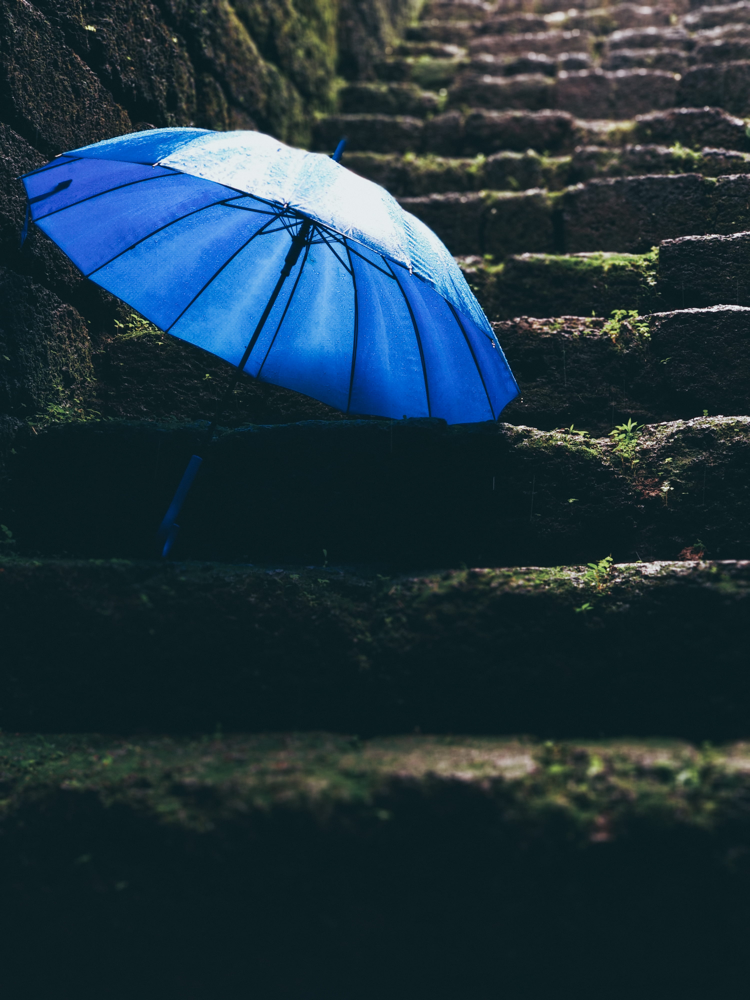 black, daylight, after the rain, beauty in nature, land, close-up, dark, water, blur, blue, day, summer, staircase, tranquility, low angle shot, plant, Phone HD Wallpaper