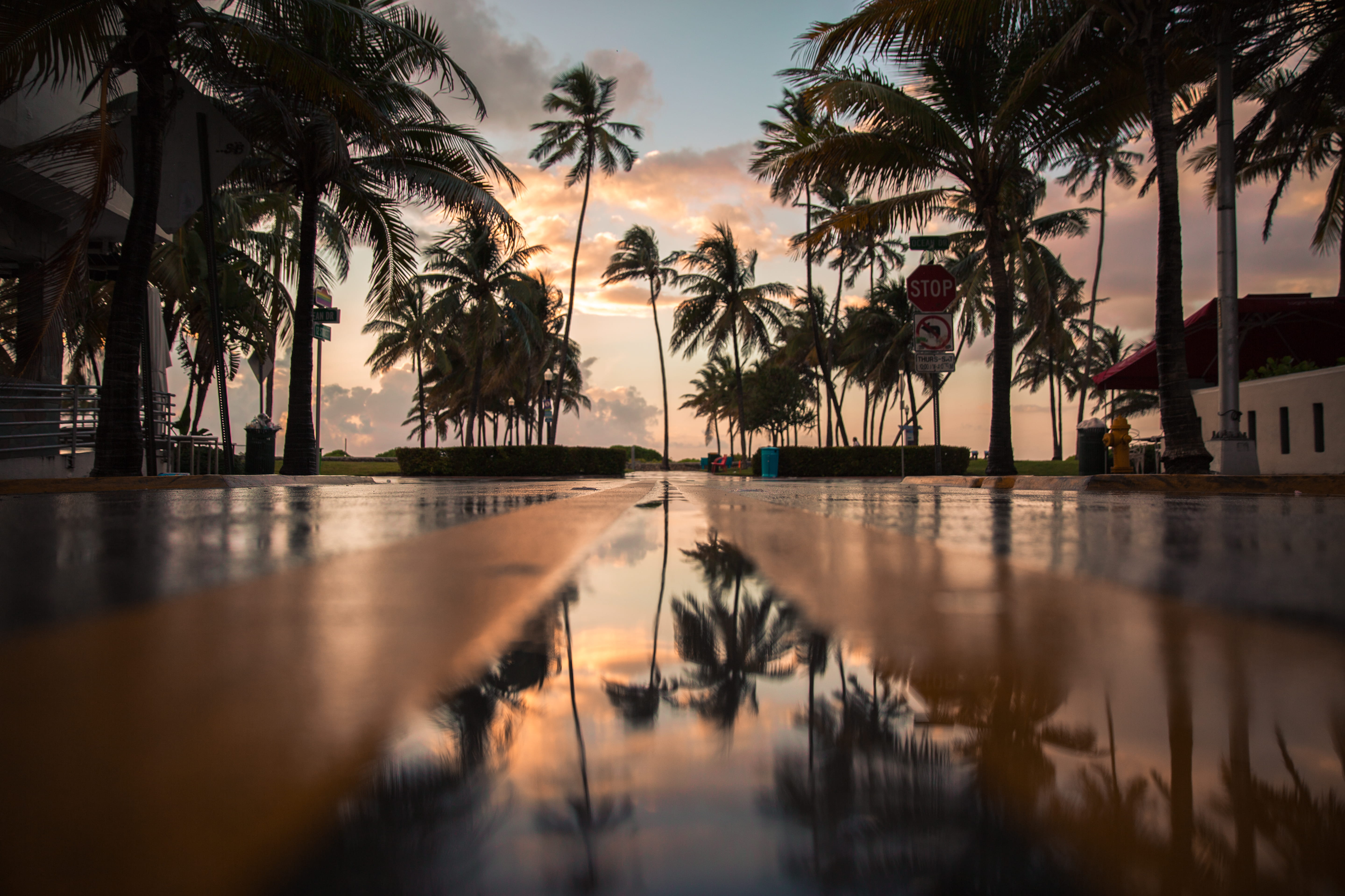 scenics, hotel, water, sunrise, tree, coconut Palm Tree, coastline, no People, tropical, tropical Climate, road, 5K, cloud, tourist Resort, trees, vacations, HD Wallpaper
