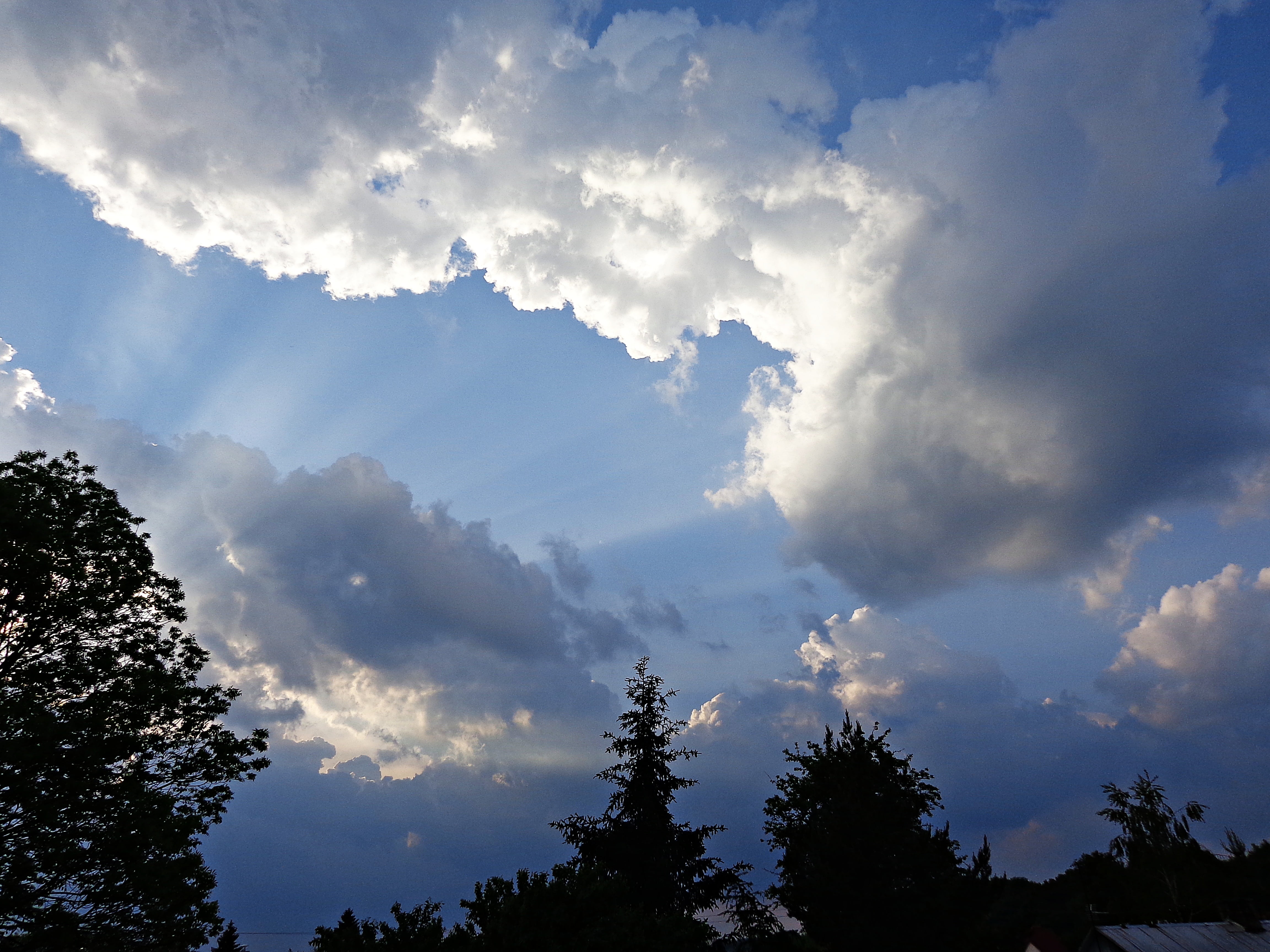 cloud kłębiasta, no people, sunbeam, outdoors, cloud - sky, aura, cloudscape, thundercloud, 4K, treetop, tranquility, coniferous tree, glomerulus, HD Wallpaper