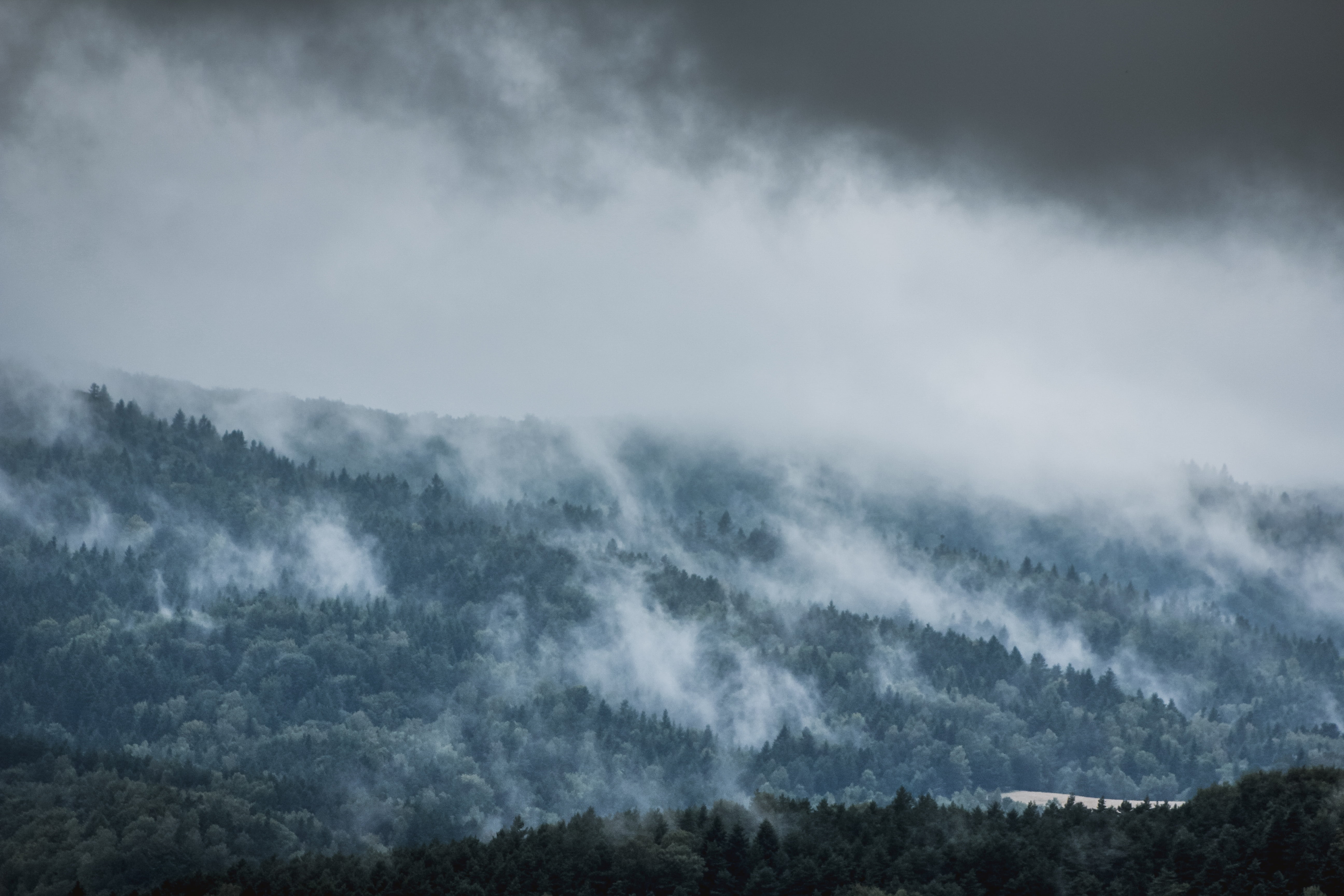 outdoors, after the rain, tree, dark, rain, scenics - nature, foliage, landscape, top, climate, no people, sad, storm, ominous, mountains, tranquil scene, HD Wallpaper