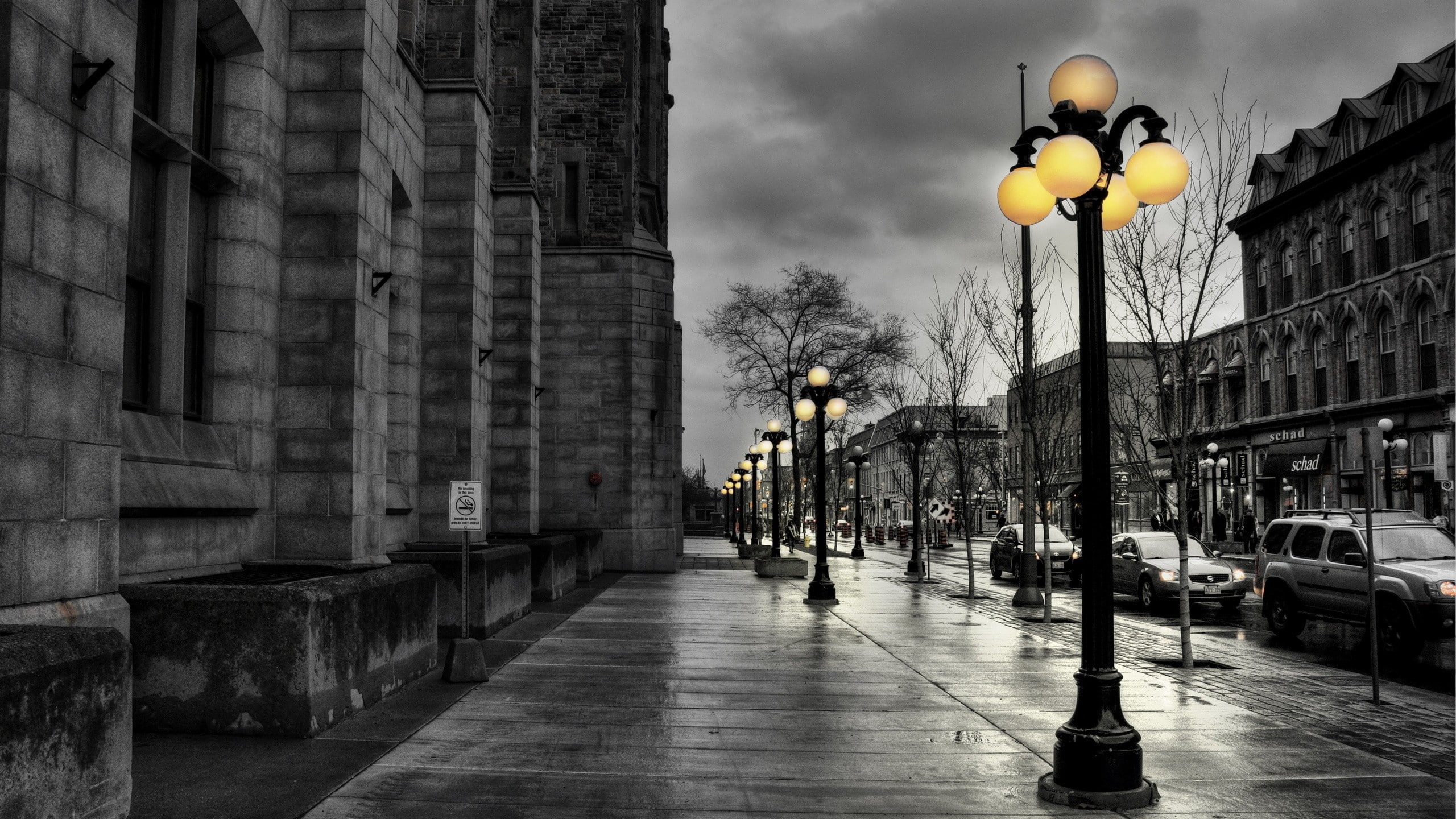 rain, street, city, street light, filter, 2K, vehicle, HD Wallpaper
