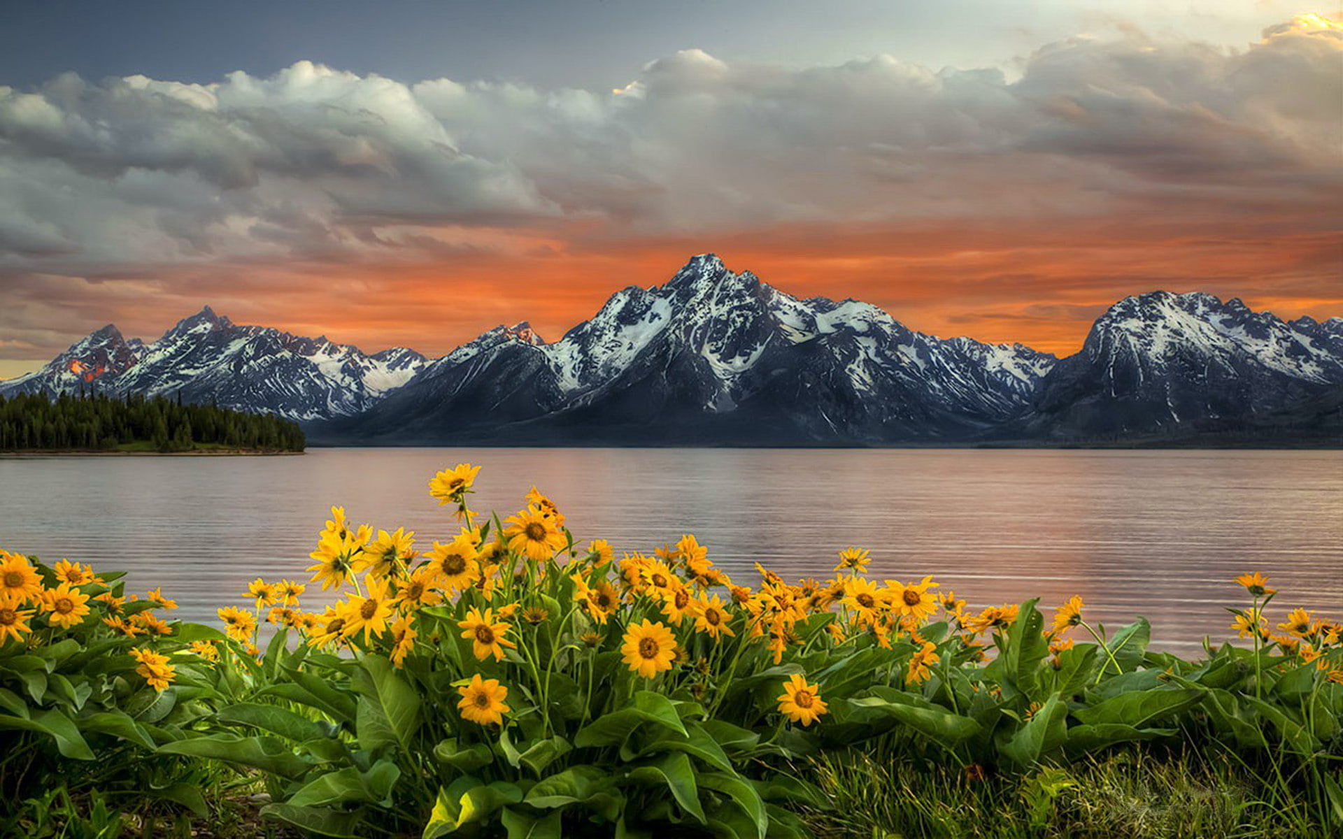 1080P, sunflower, peaks, grand, red, landscape, flowers, snow, clouds, park, national, mountain, teton, hd, lake, yellow, sky, sunset, HD Wallpaper