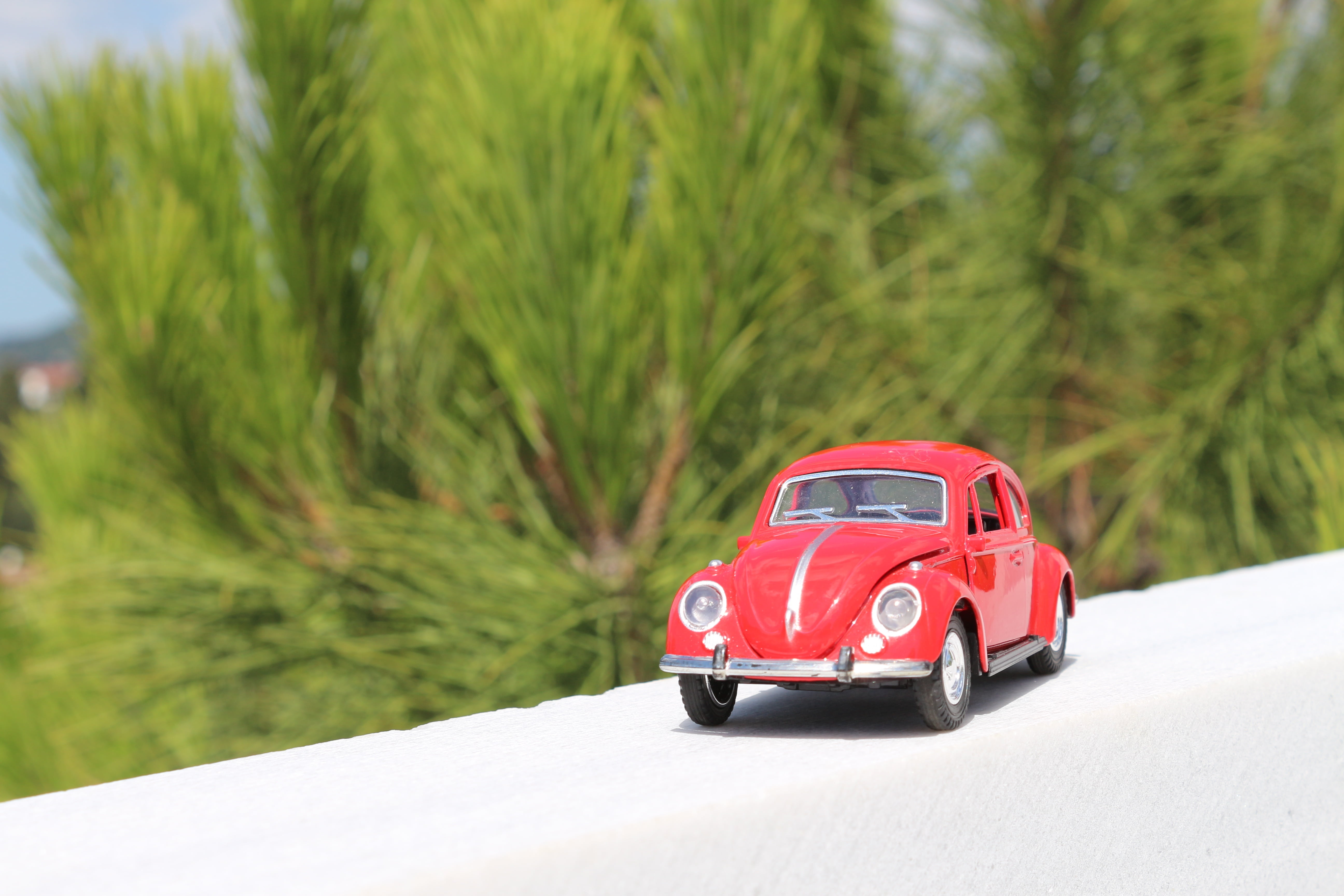plant, road, transportation, mode of transportation, driving, motor vehicle, on the move, red, sports car, toy car, 5K, road trip, luxury, üsküdar, tree, HD Wallpaper
