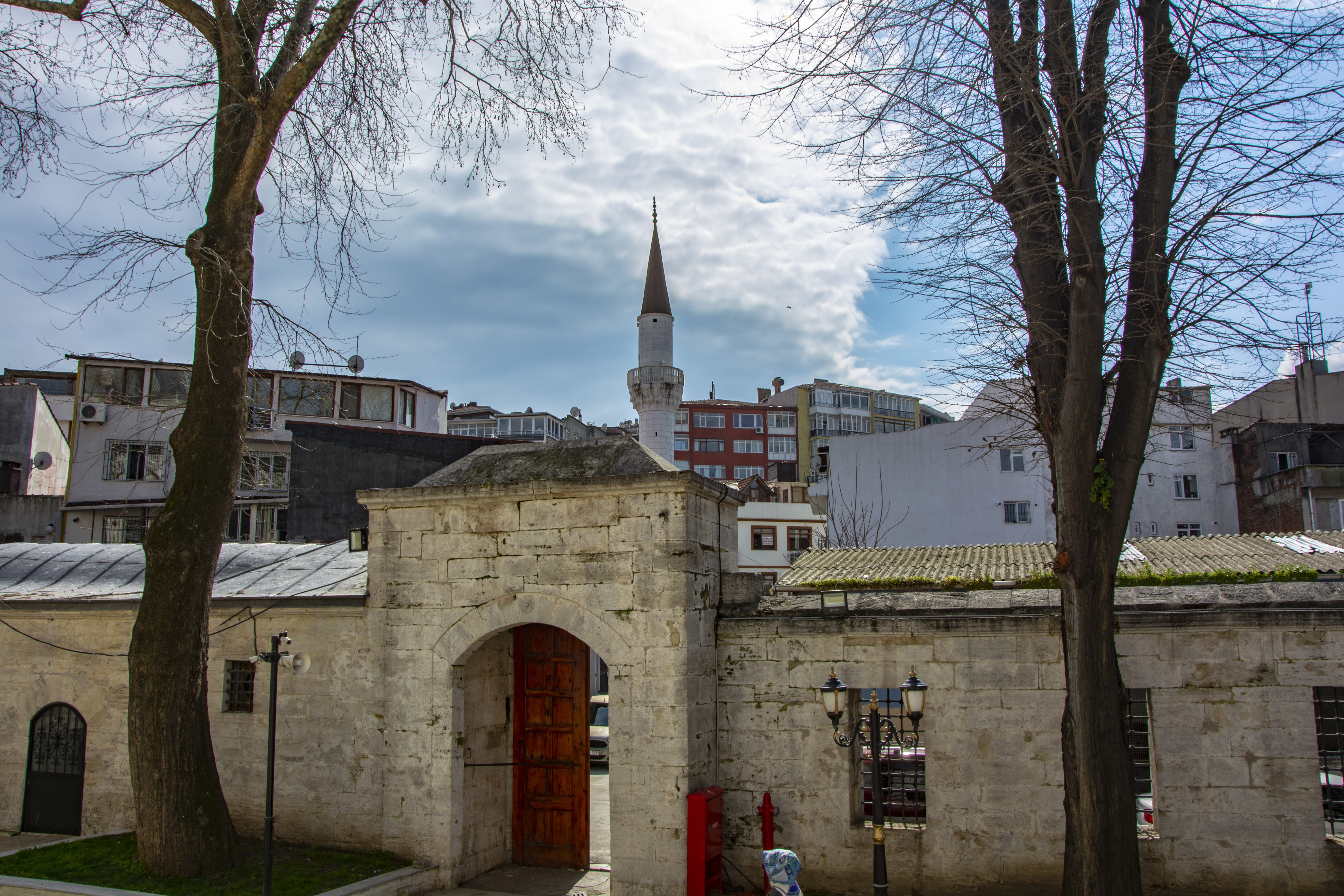 tree, day, üsküdar, beautiful, dome, cami, built structure, cloud - sky, 5K, turkey, place of worship, spirituality, nature, branch, islam, peace, landscape, HD Wallpaper