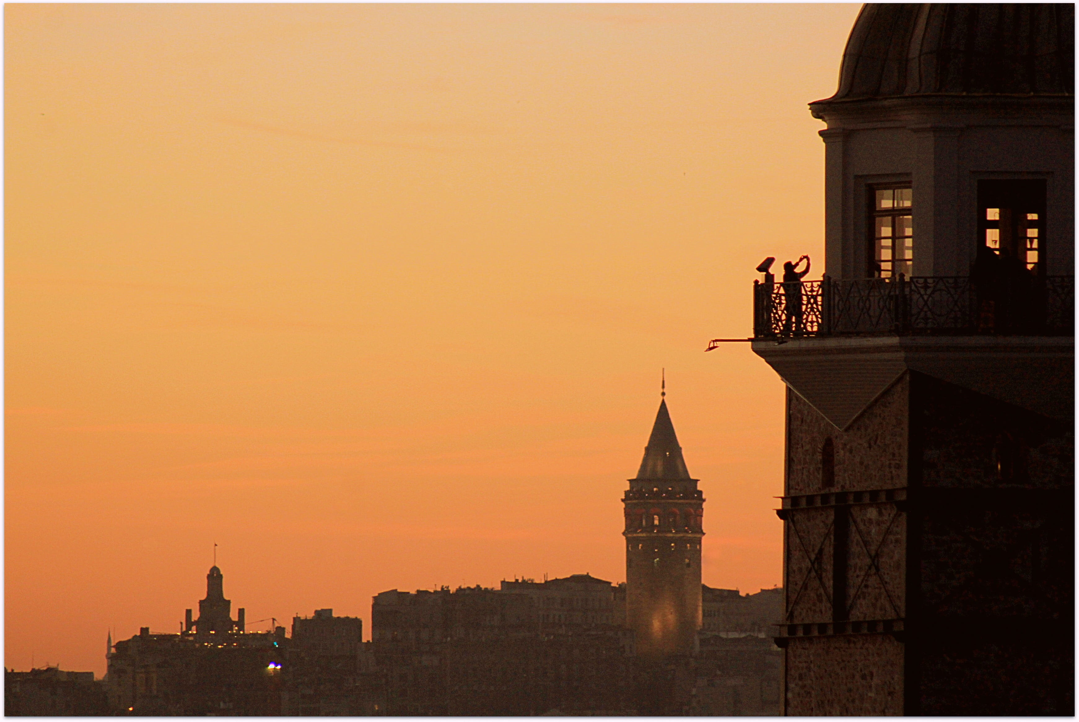 seagull, no people, tower, government, travel destinations, galata tower, travel, spire, beach, fish, solar, building exterior, architecture, religion, HD Wallpaper