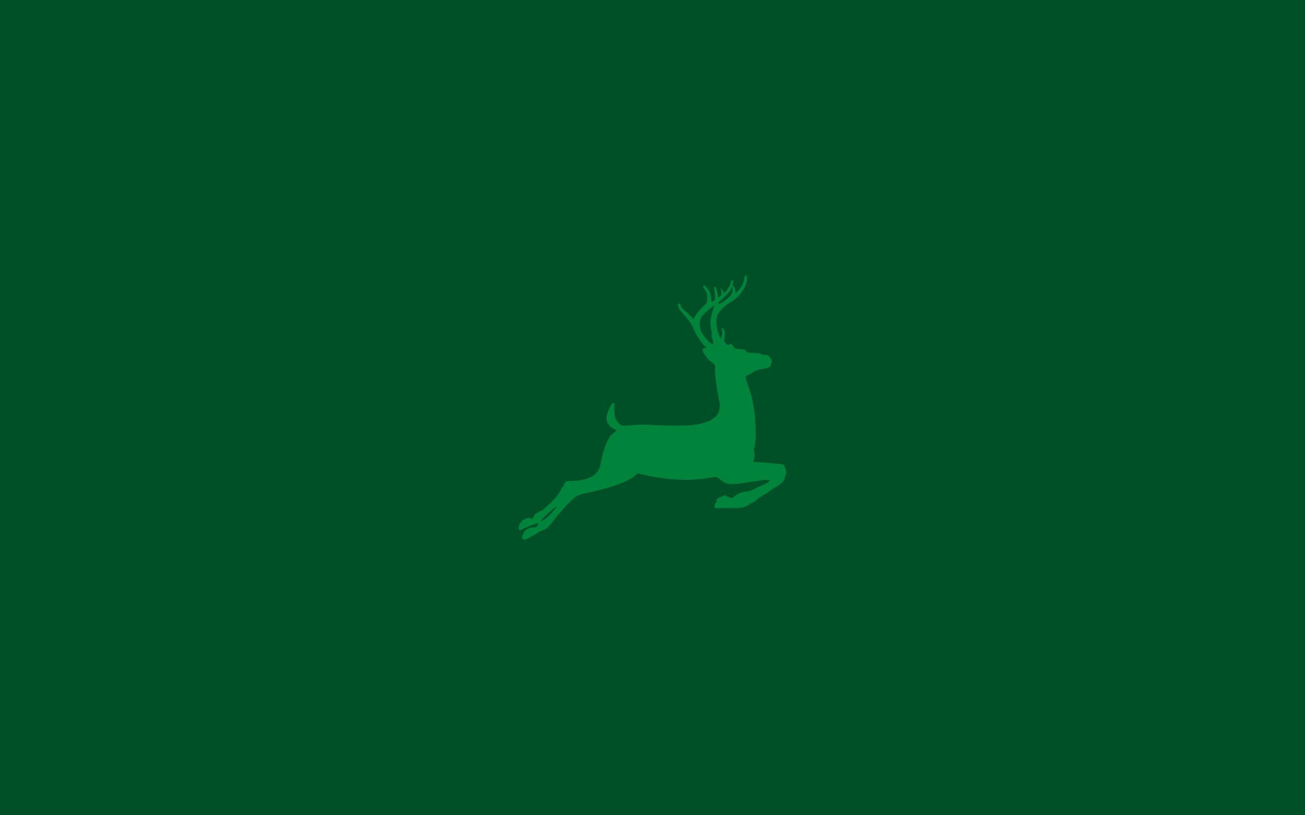 no people, swimming, green background, animal representation, animal themes, indoors, colored background, studio shot, Christmas, holiday, Festivals / Holidays, HD Wallpaper