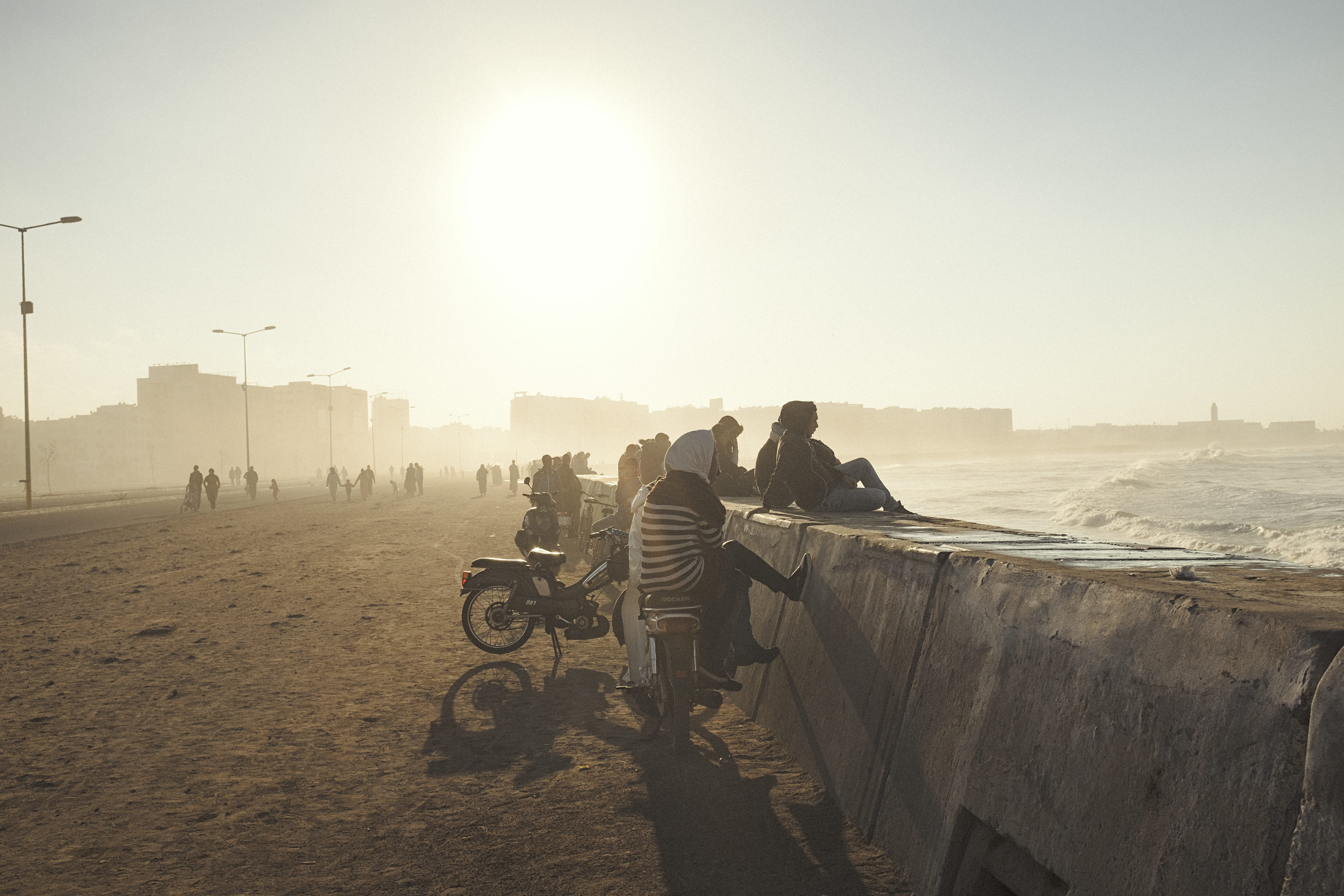 casablanca, vertebrate, 4K, morocco, mode of transportation, domestic animals, clear sky, sun, building exterior, sky, herbivorous, outdoors, morroco, HD Wallpaper