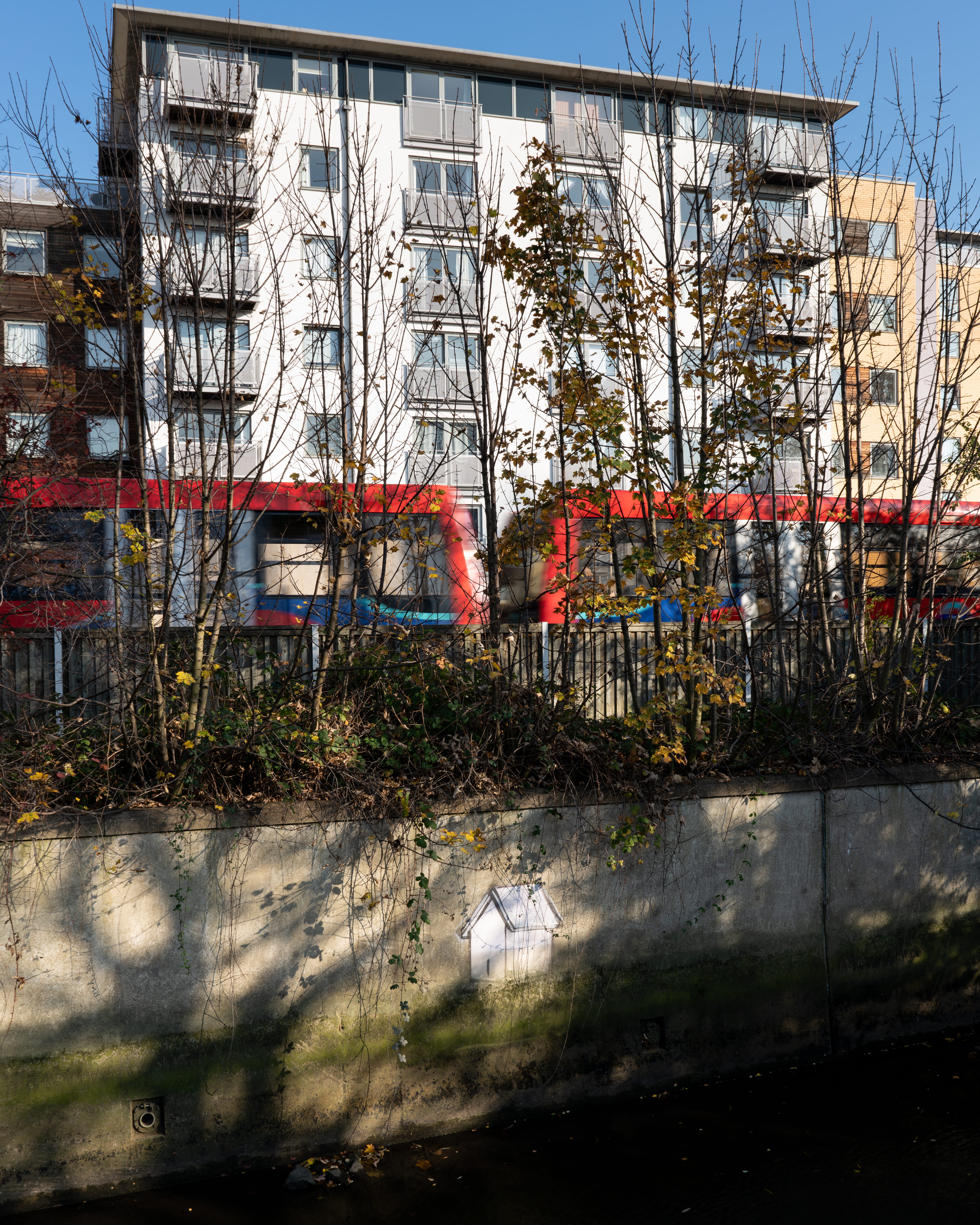urban landscape, shadows, day, building exterior, building, one animal, outdoors, london, london transport, no people, little house, water, bare tree, urban, Phone HD Wallpaper