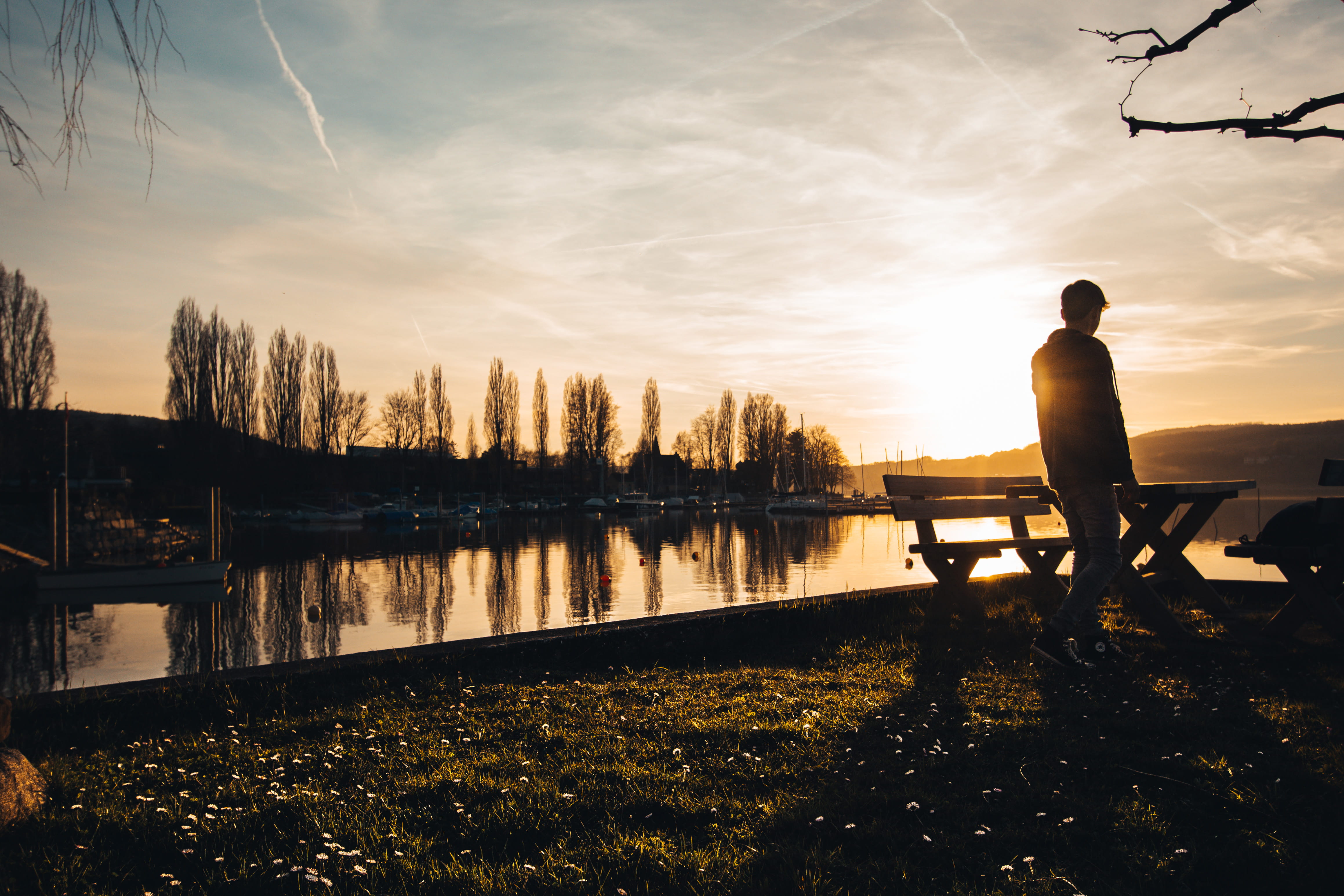 lake, plant, fealings, reflection, leisure activity, walk, sunnset, hills, sunn, tree, seat, lifestyles, tranquility, lake constance, looking at view, lens flare, HD Wallpaper
