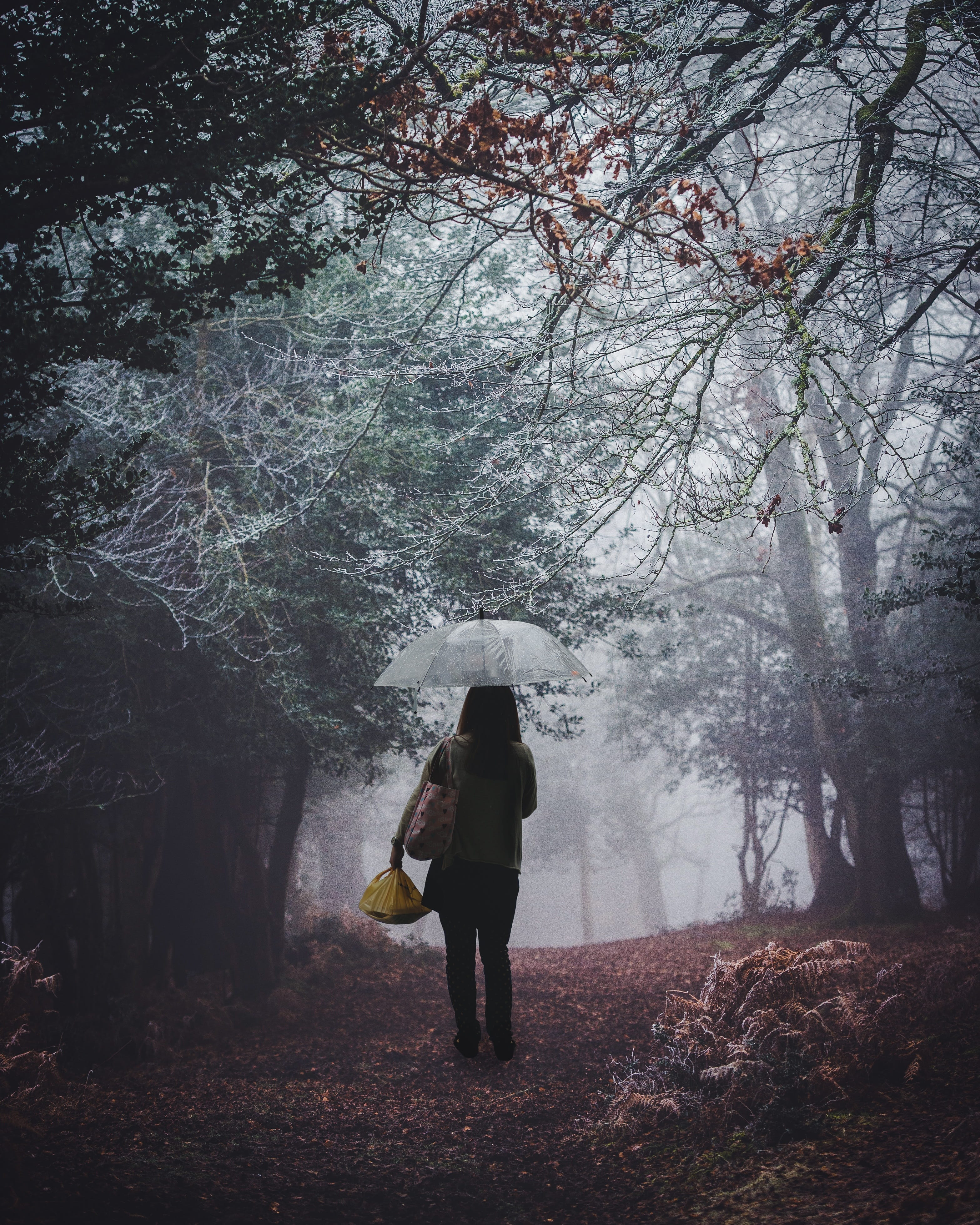 girl, 4K, nature, alone, outdoors, winter, land, standing, people, one person, forest, tree, jungle, rear view, cold temperature, beauty in nature, plant, Phone HD Wallpaper