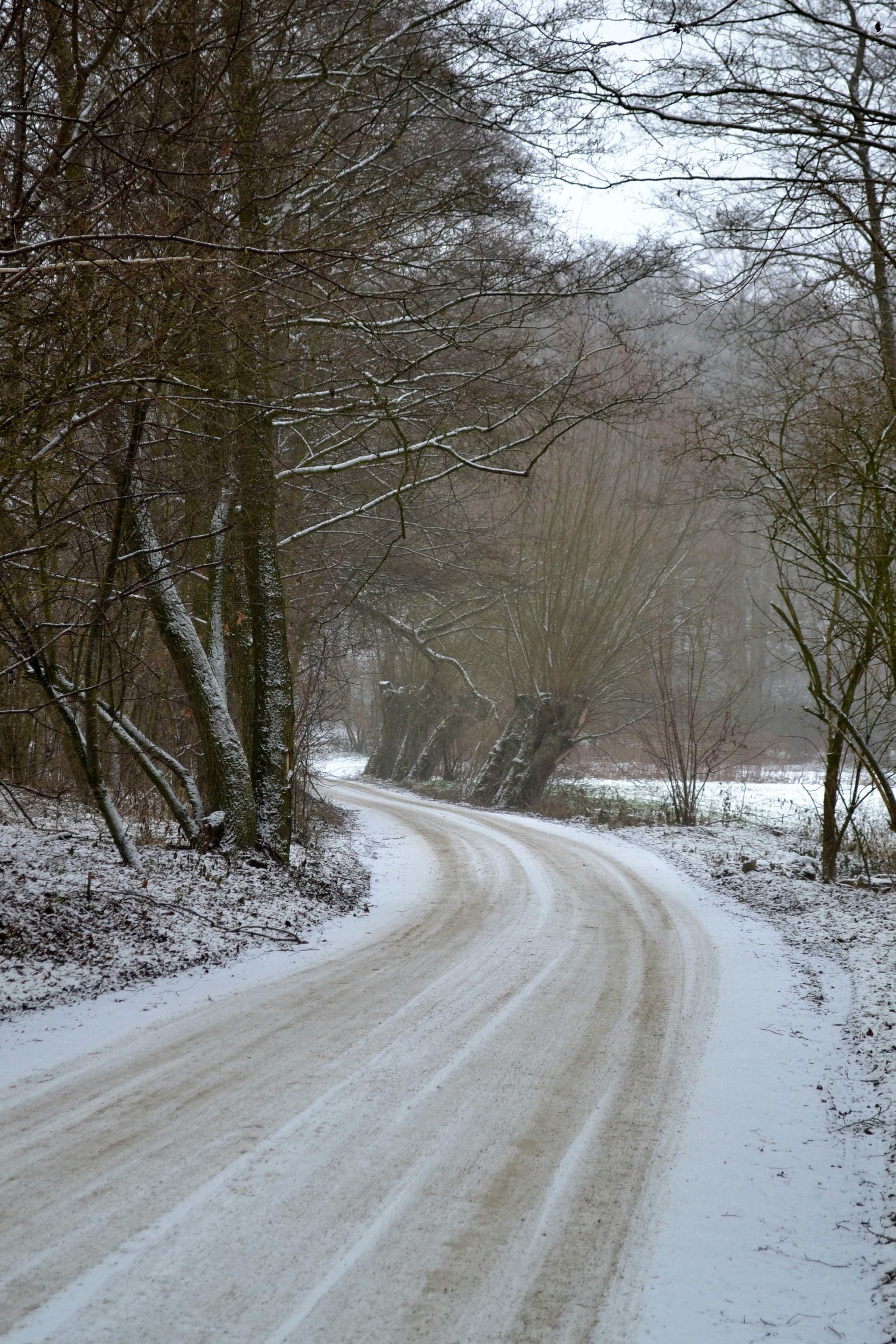 tranquility, landscape, road, 2K, scenics - nature, curve, day, snow, plant, tree, bare tree, nature, direction, the path, the way forward, transportation, Phone HD Wallpaper