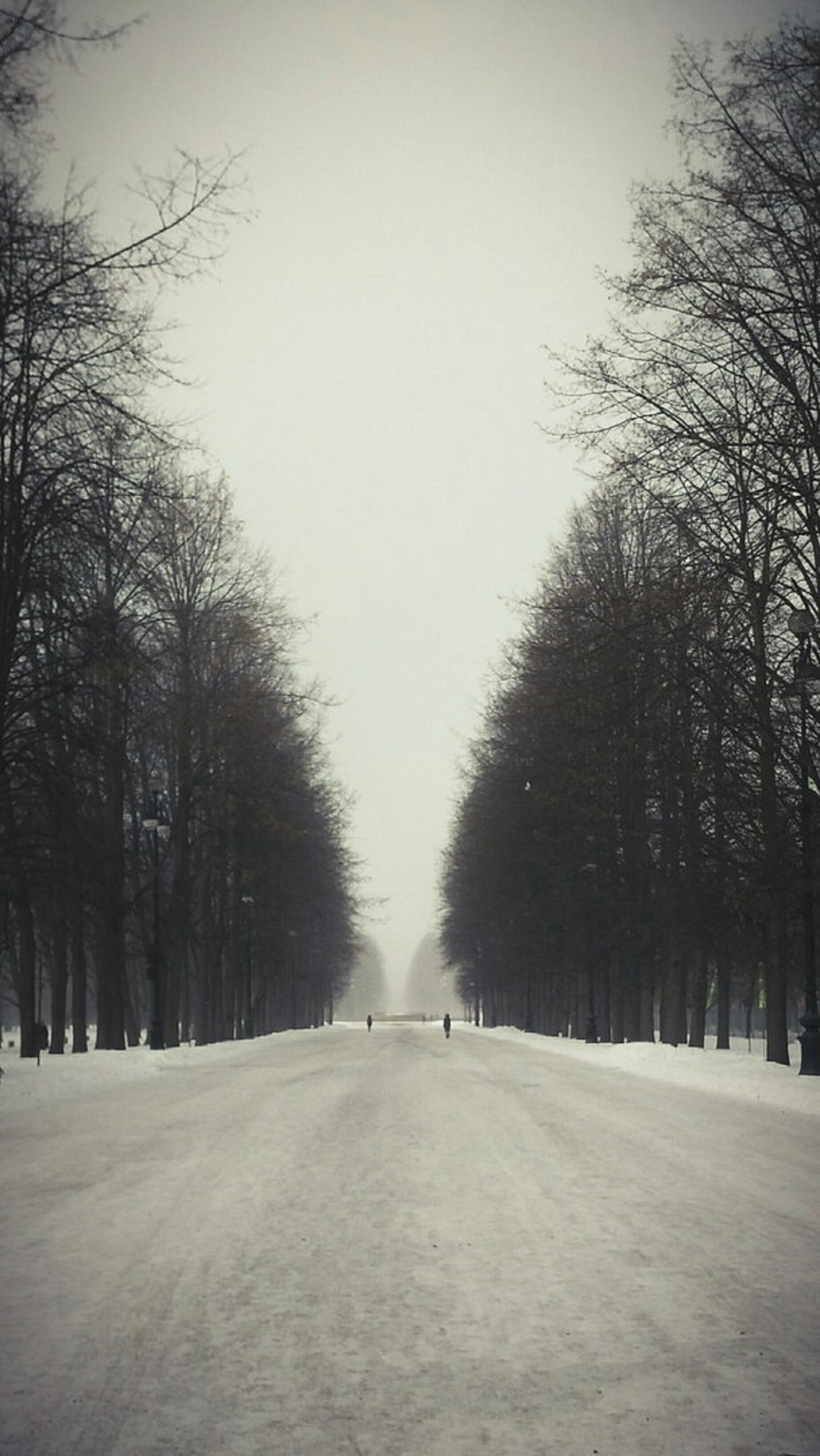 outdoors, road, the way forward, scenics - nature, sky, day, winter, cold temperature, clear sky, no people, frost, 5K, nature, study, tranquility, plant, Phone HD Wallpaper
