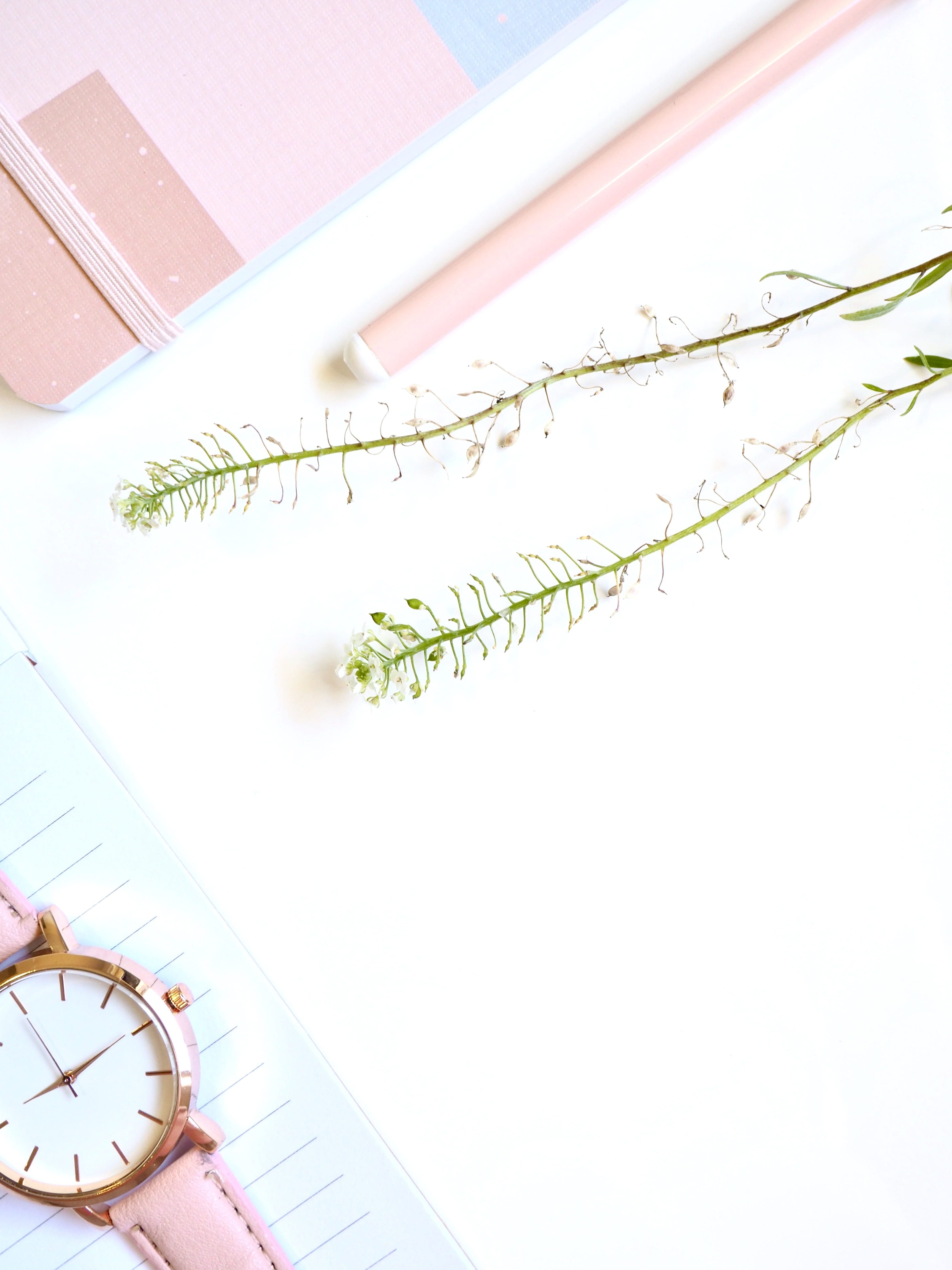 flatlay, clock, write, close-up, paper, table, education, still life, studio shot, plant, personal accessory, flower, high angle view, indoors, nature, Phone HD Wallpaper