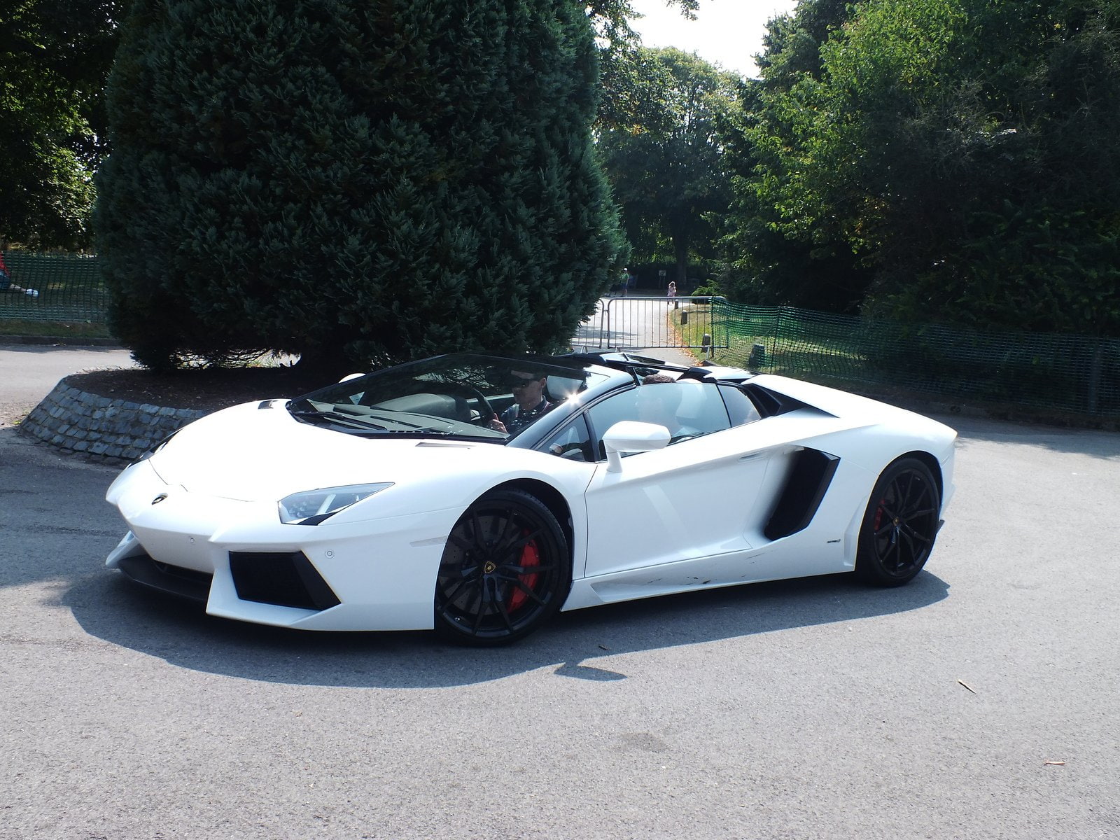 aventador, lamborghini, roadster, supercars, 720P, blanche, lp700 4, white, italian, HD Wallpaper
