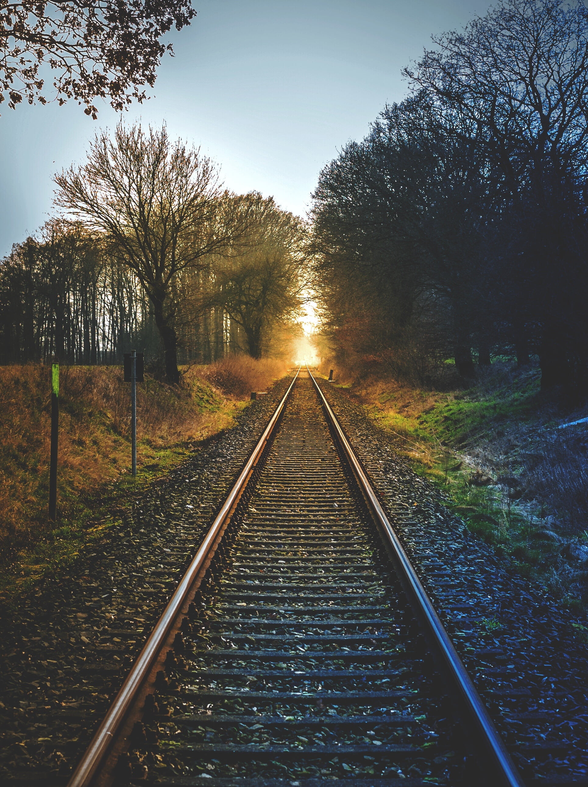 rails, straight, plant, sky, landscape, no people, non-urban scene, track, growth, tranquility, railroad track, 2K, brown, sunset, long, direction, vanishing point, Phone HD Wallpaper