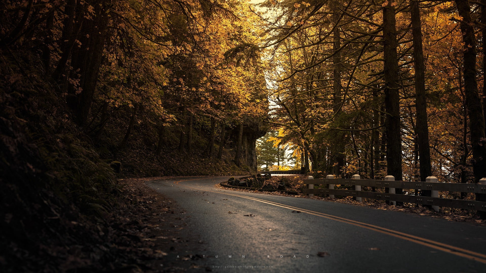 outdoors, land, street, plant, brown, road, transportation, growth, no people, trunk, tranquility, guard, nature, tree trunk, 1080P, city, architecture, HD Wallpaper
