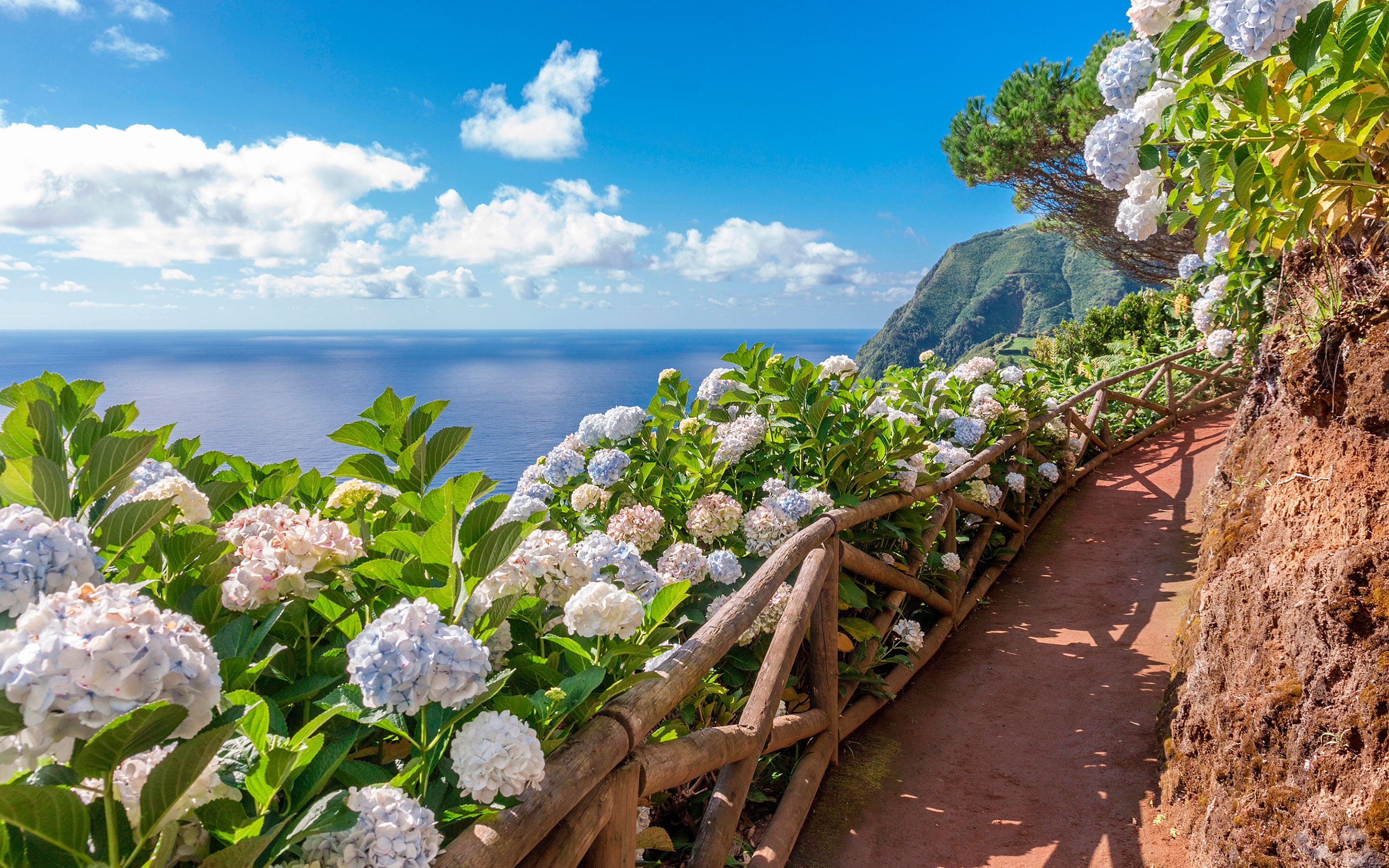 2K, Sao-Miguel, track, the ocean, mountains, Azores, flowers, Acores, HD Wallpaper