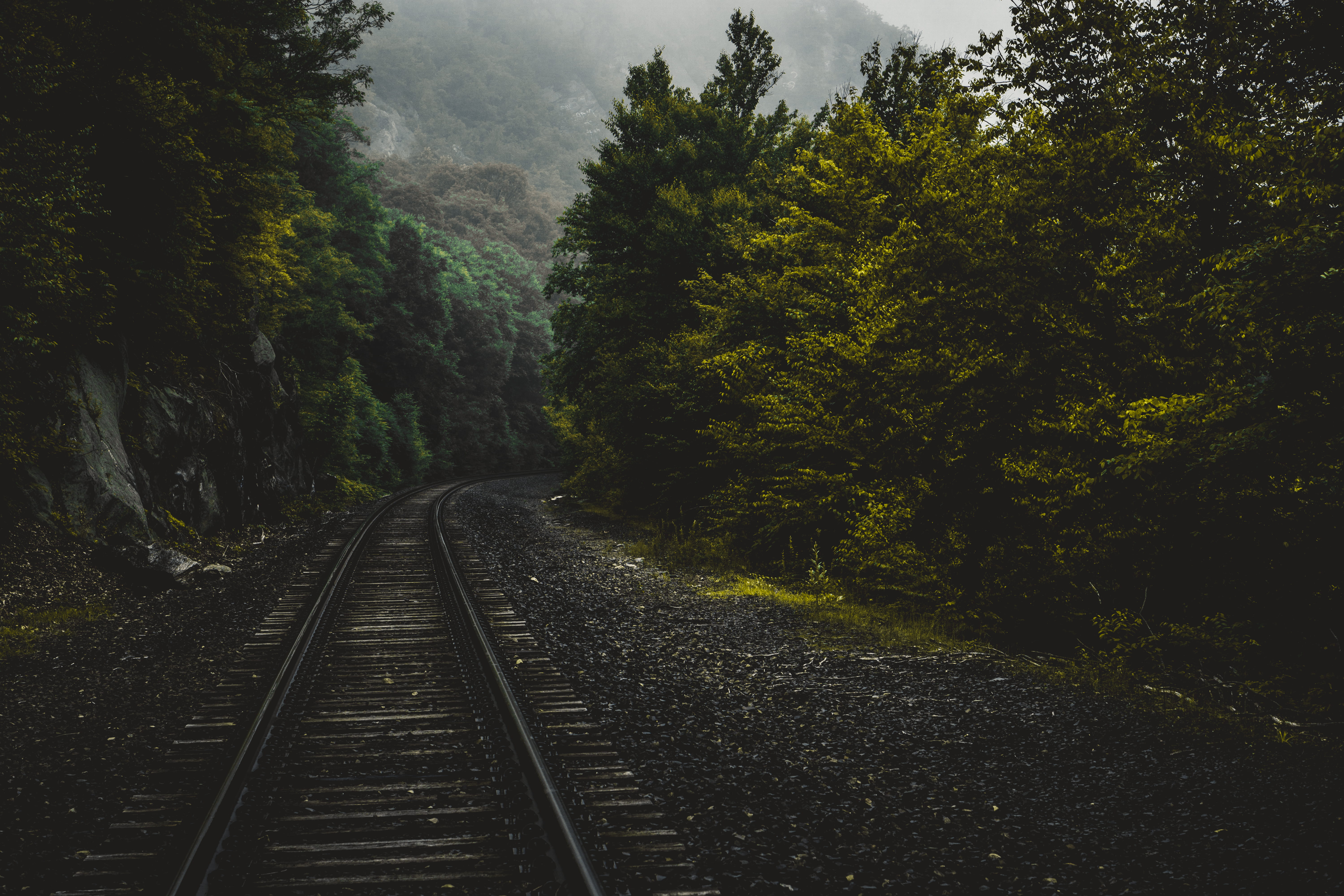 transportation, tranquility, green color, trailway, train, hike, morning, railroad, plant, nature, tranquil scene, connecticut, rail transportation, adventure, HD Wallpaper