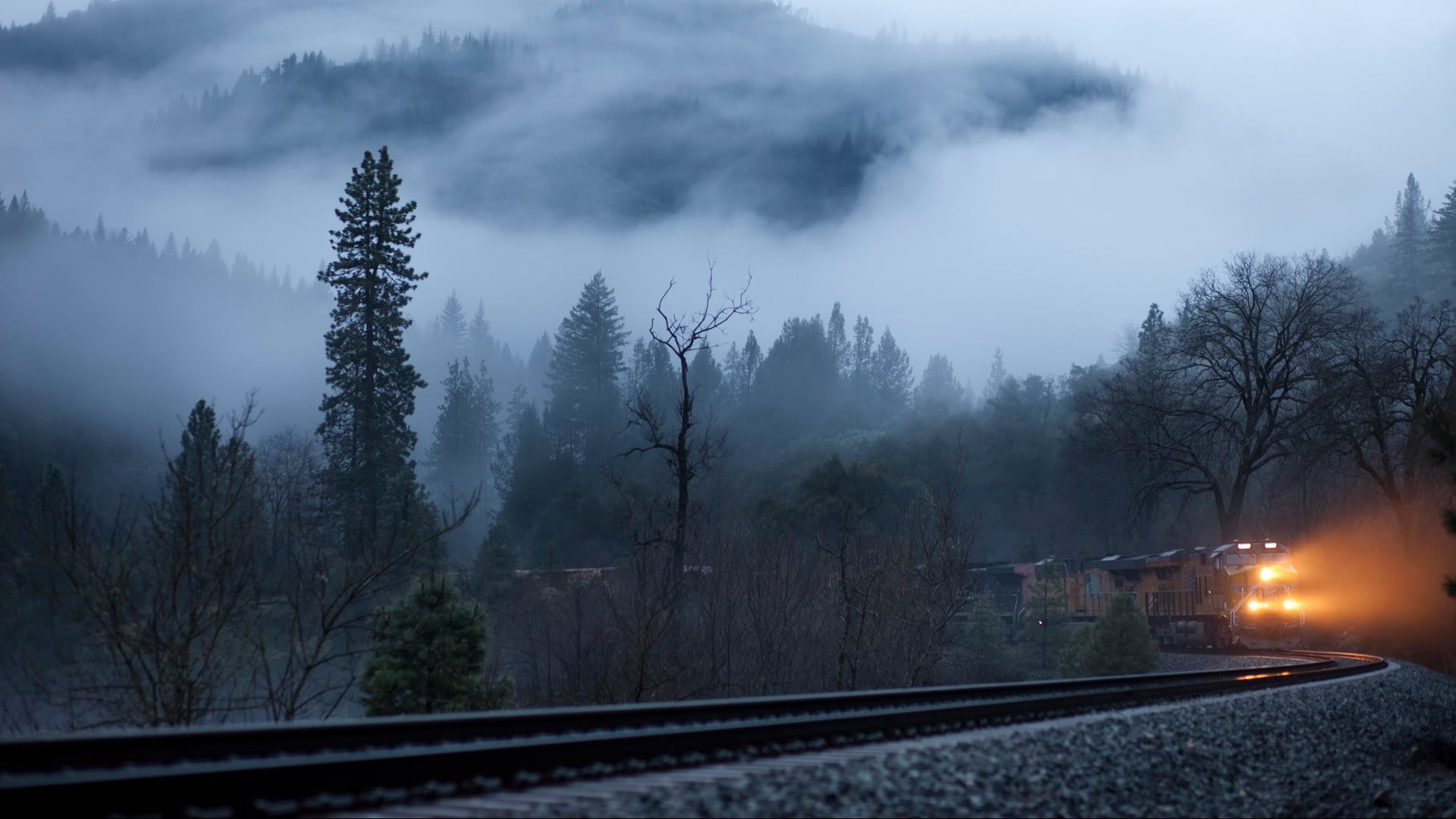 sign, nature, mist, 1080P, sky, forest, tranquility, rail transpor, public transportation, mode of transportation, rail transportation, outdoors, railroad, HD Wallpaper