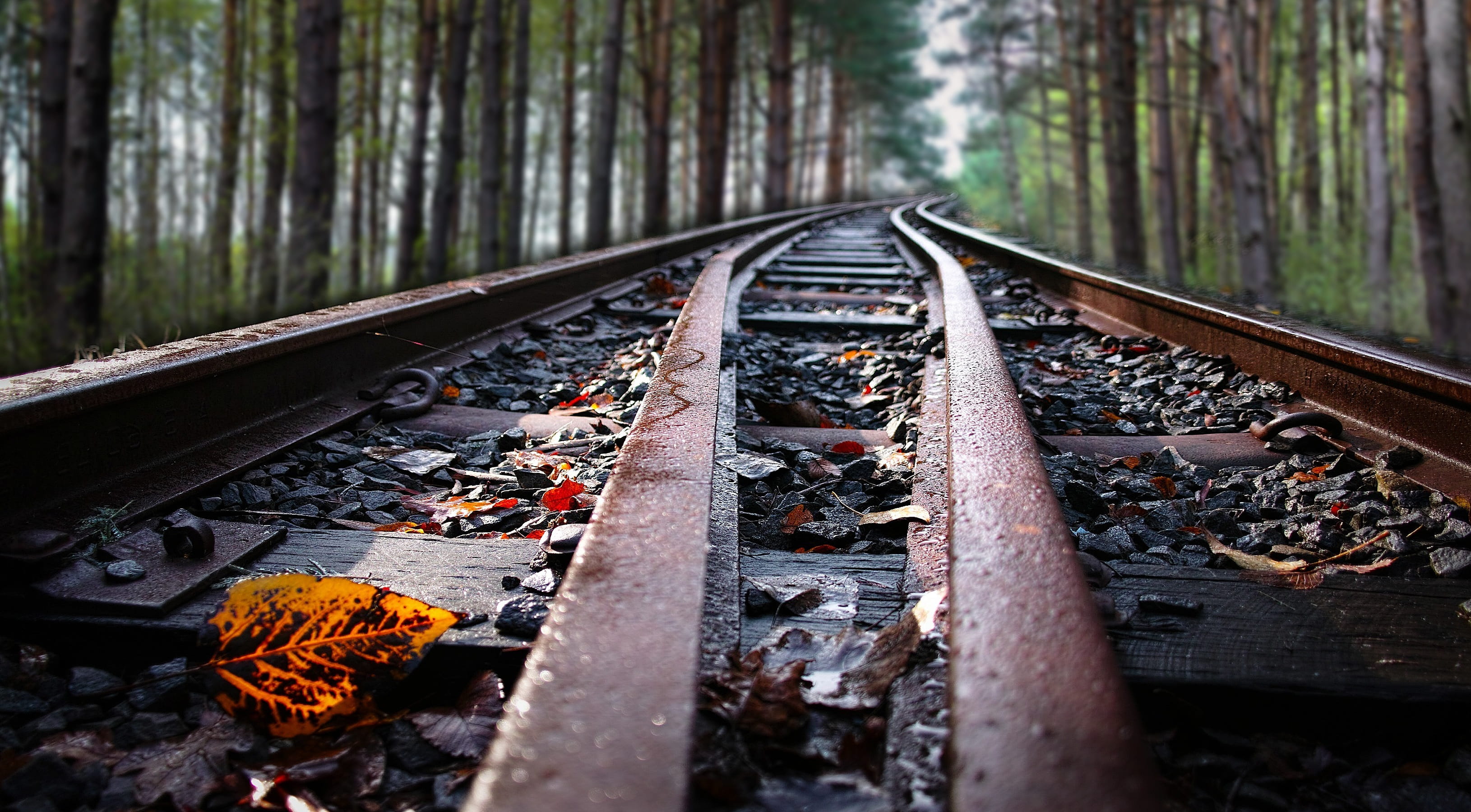 train, woodland, the way forward, rusty, track, outdoors, line, 2K, rail transportation, Sky, mode of transportation, railway, nature, transportation, HD Wallpaper