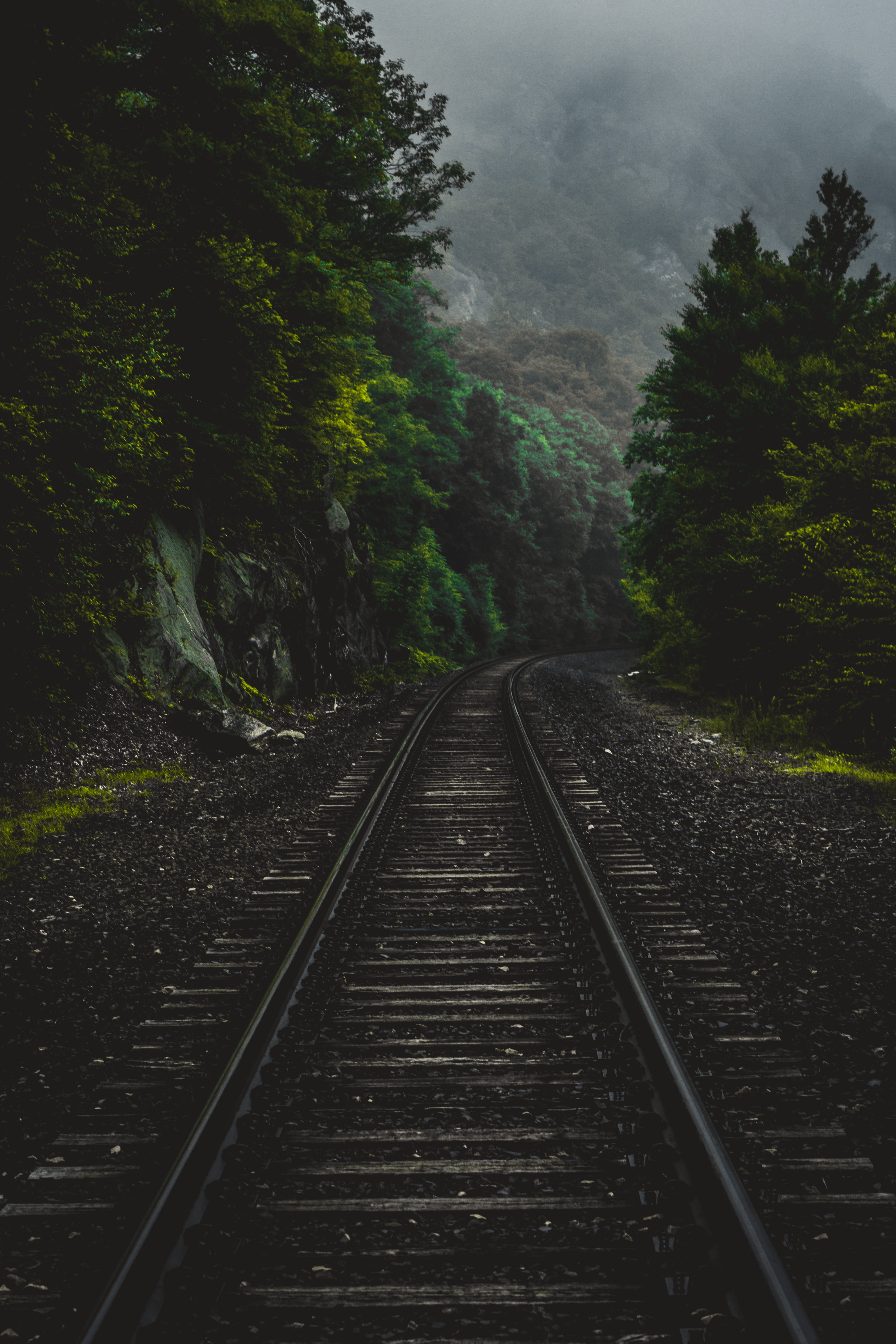 traintrack, tranquil scene, beauty in nature, non-urban scene, nature, hiking, woodsy, fog, no people, conneticut, direction, northeast, enchanted, diminishing perspective, Phone HD Wallpaper