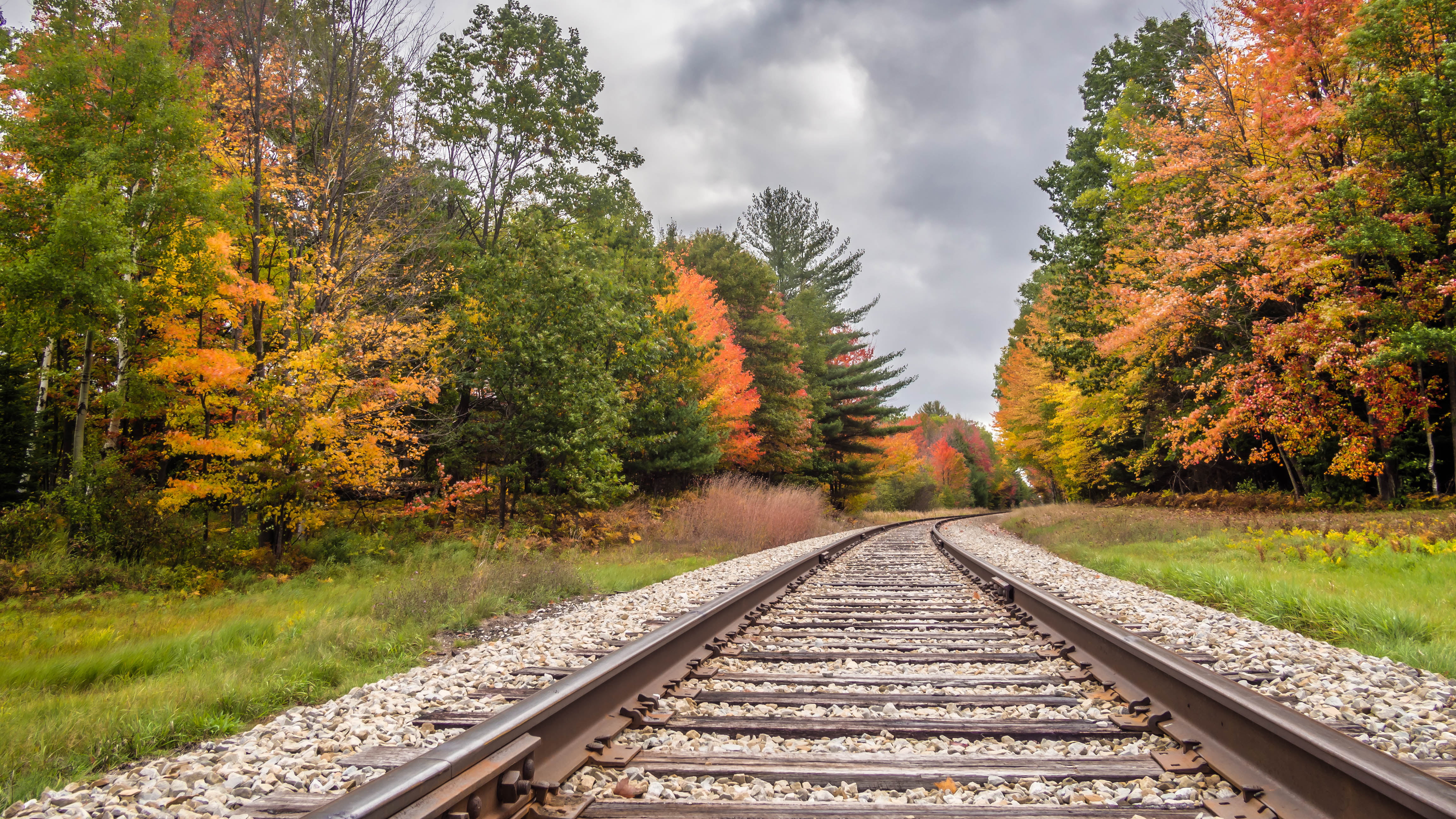 landscape, mirrorless, outdoors, panasonic 14mm, foliage, rail, train tracks, nature, transportation, type  location, landscapes, RR, forest, Michigan, HD Wallpaper