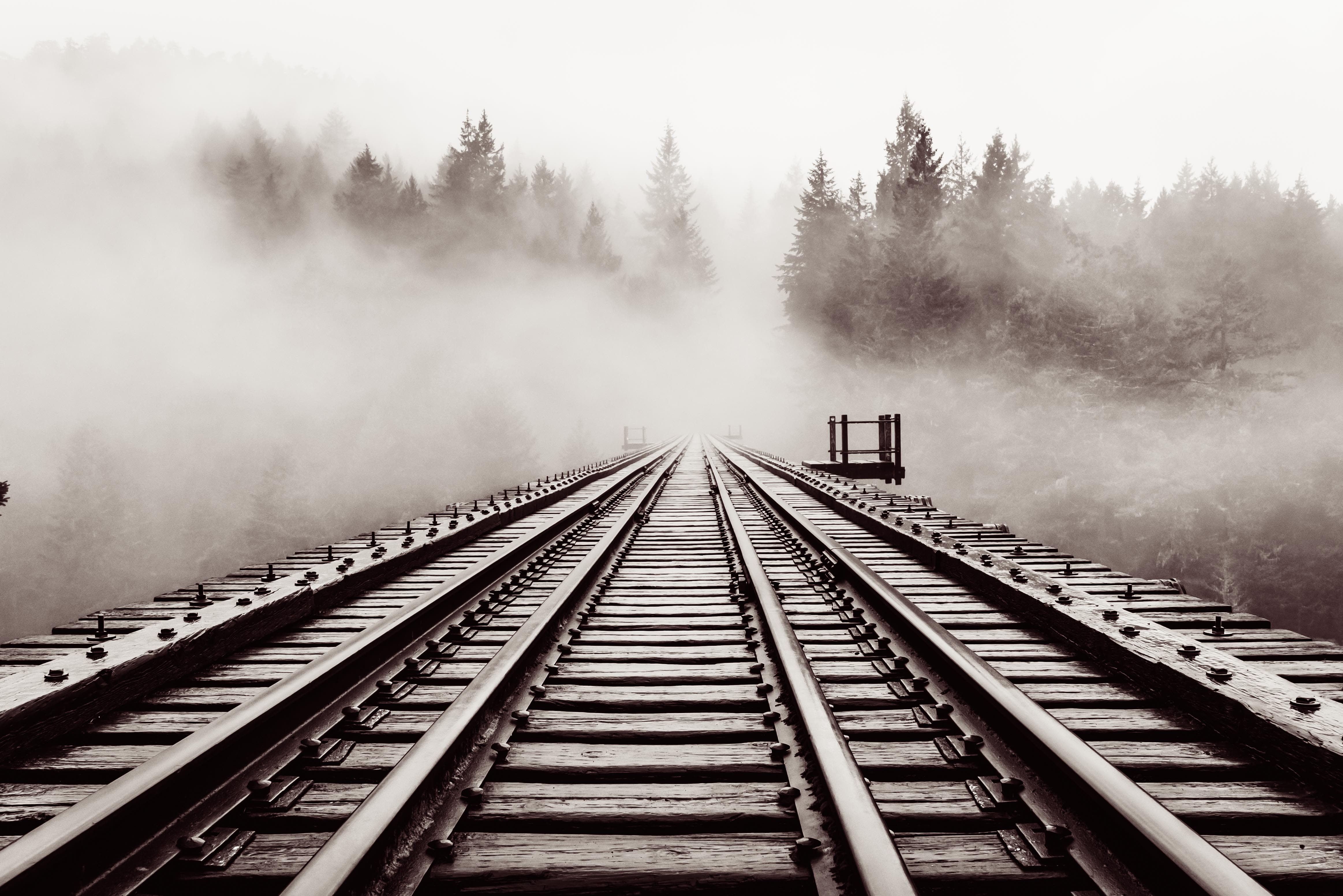trees, black and white, direction, nature park, aesthetic, diminishing perspective, old, railroad track, outdoors, vancouver island, wooden boards, moody, HD Wallpaper