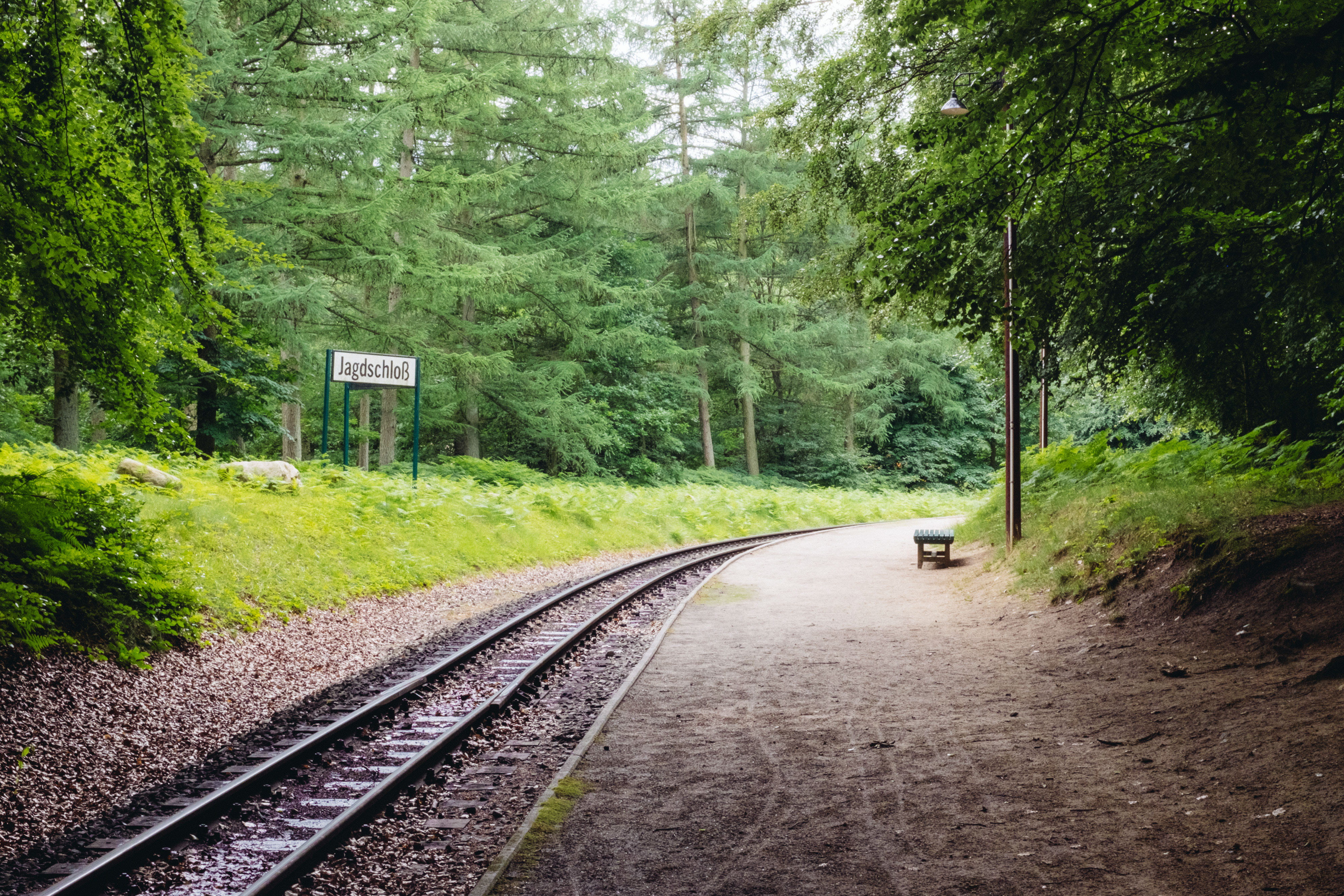 diminishing perspective, sky, metal, forest, vintage, train, plant, green, rugen, curve, tranquility, bend, beauty in nature, no people, growth, island, HD Wallpaper