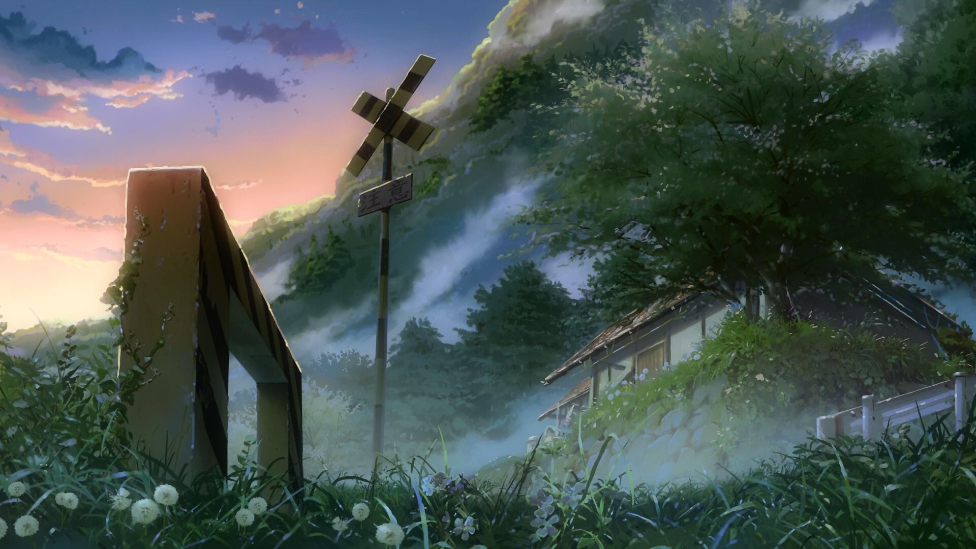 Movie, Children Who Chase Lost Voices, 1080P, HD Wallpaper