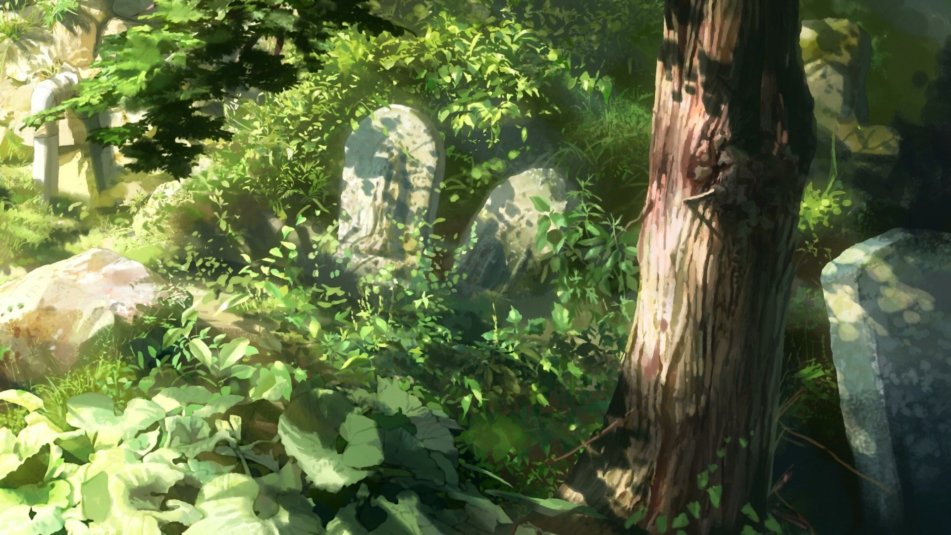 1080P, children who chase lost voices, HD Wallpaper