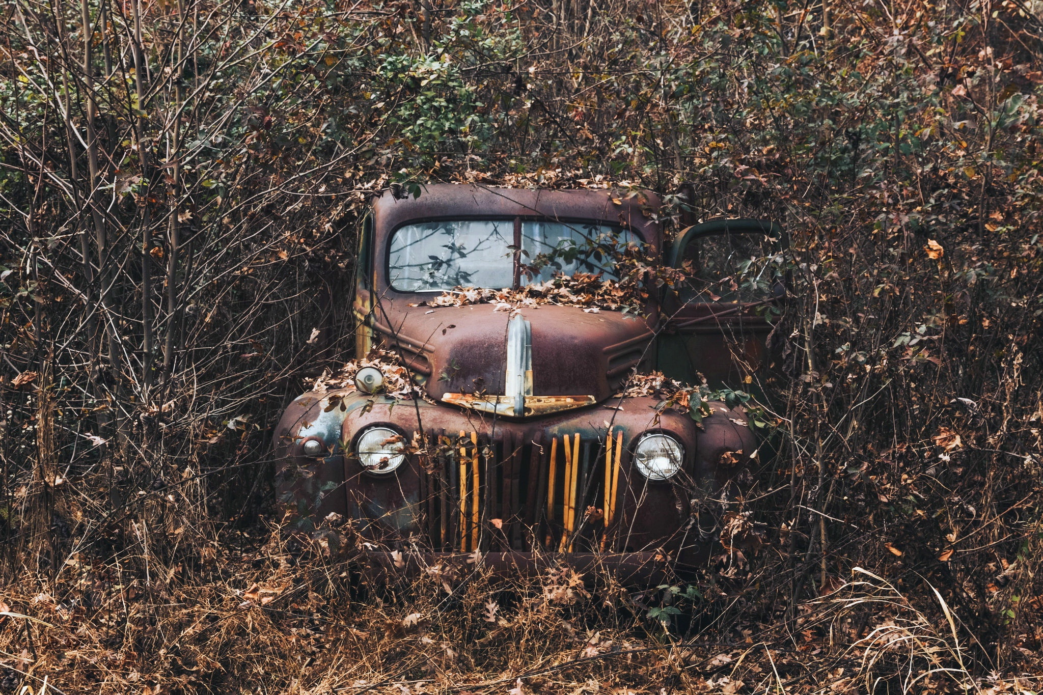car, 1080P, plants, vehicle, rust, wreck, old, HD Wallpaper