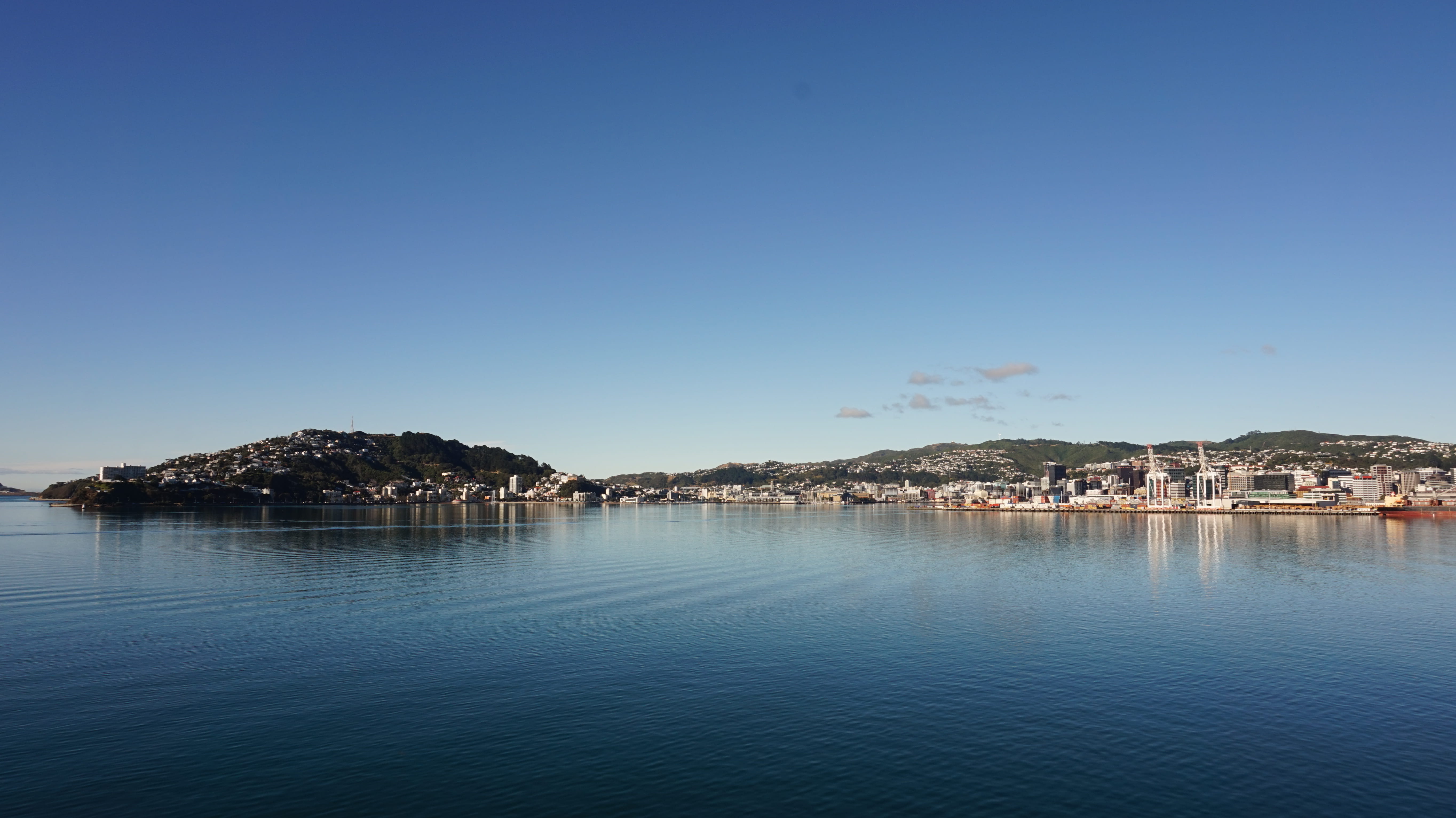 beauty in nature, blue, scenics - nature, building, outdoors, sky, land, wellington harbour, clear sky, tranquil scene, city, tranquility, 5K, sea, beach, HD Wallpaper
